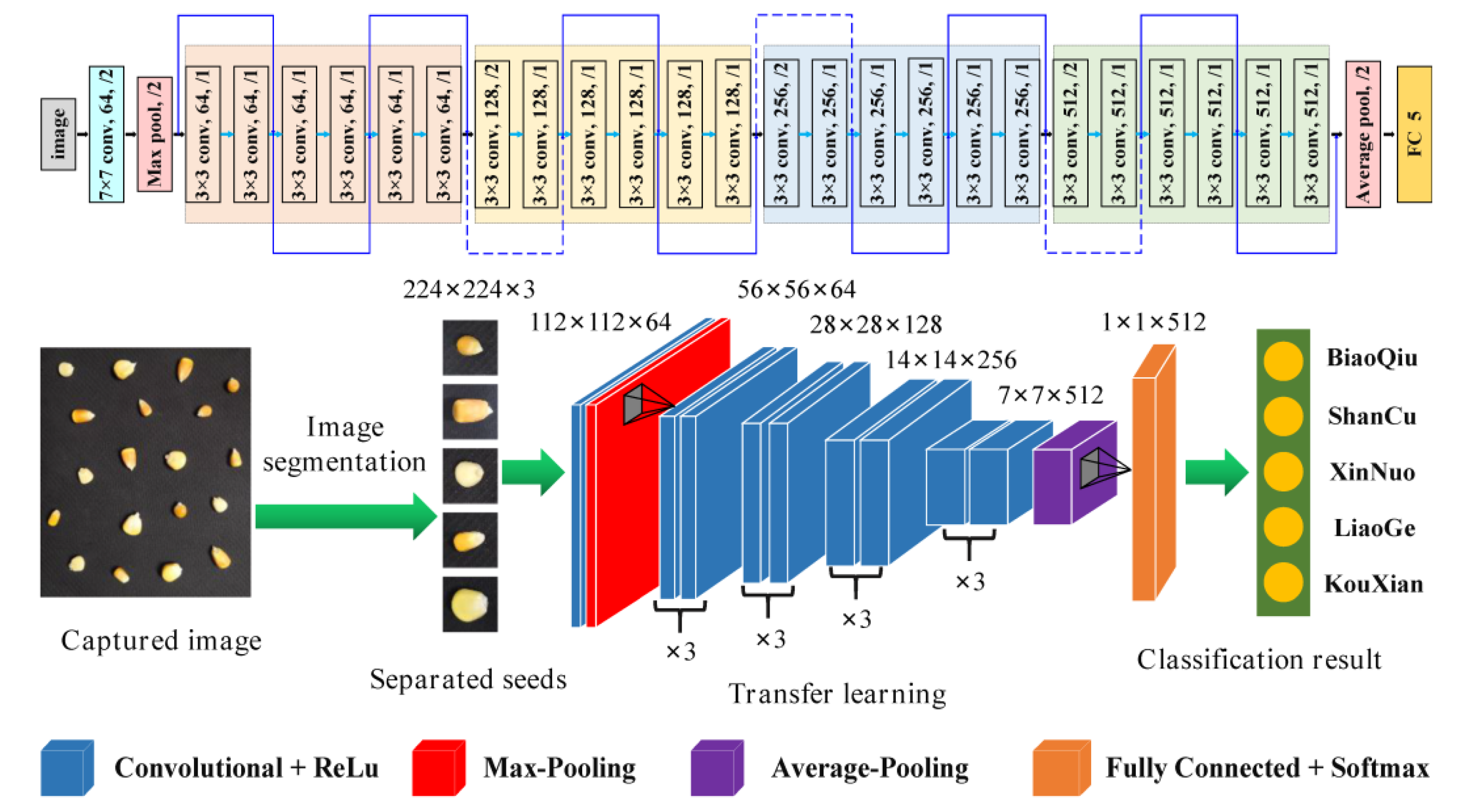 Agronomy 12 02659 g006 Agronomy 12 02659 g006