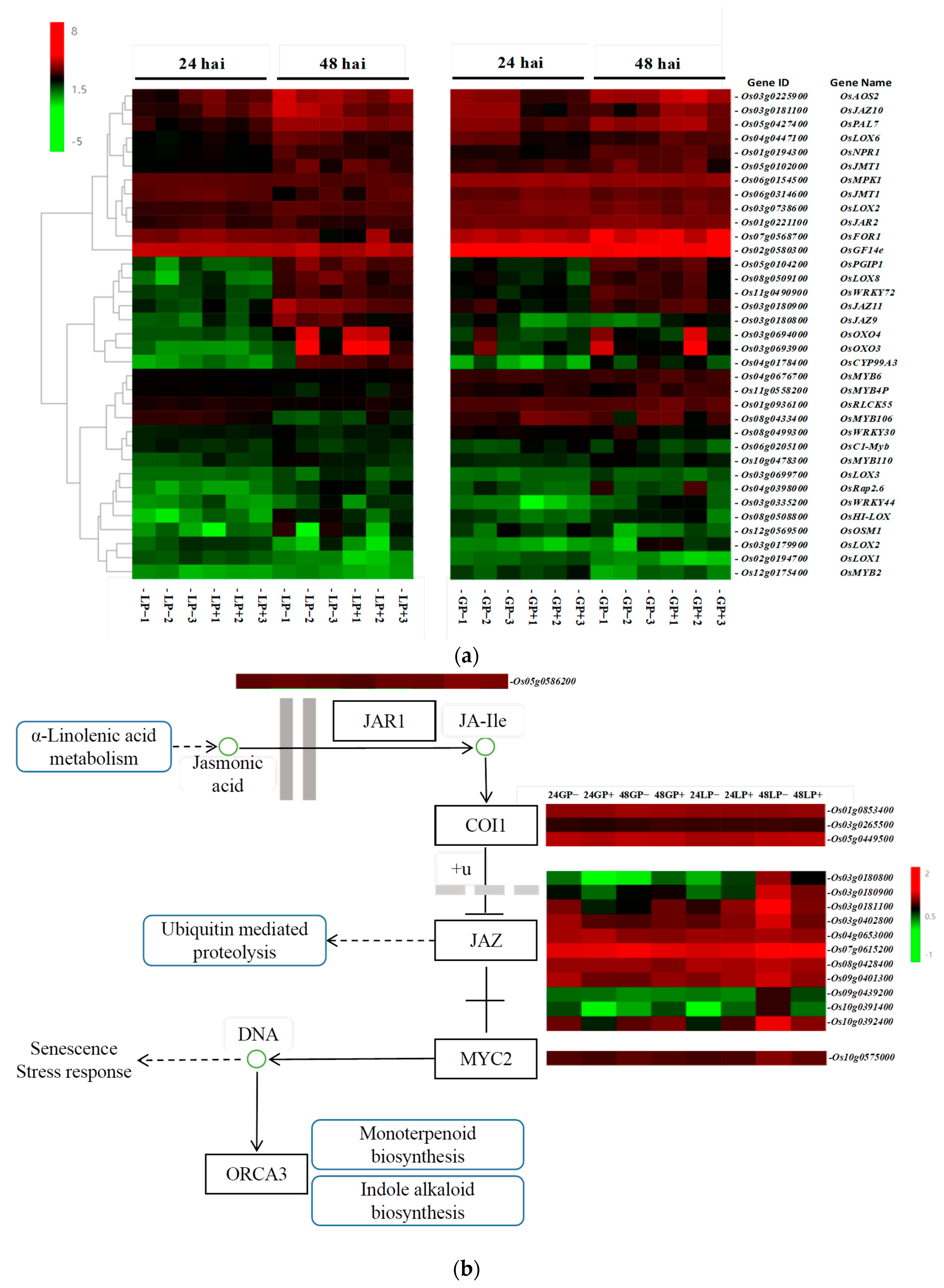 Agronomy 12 02660 g005