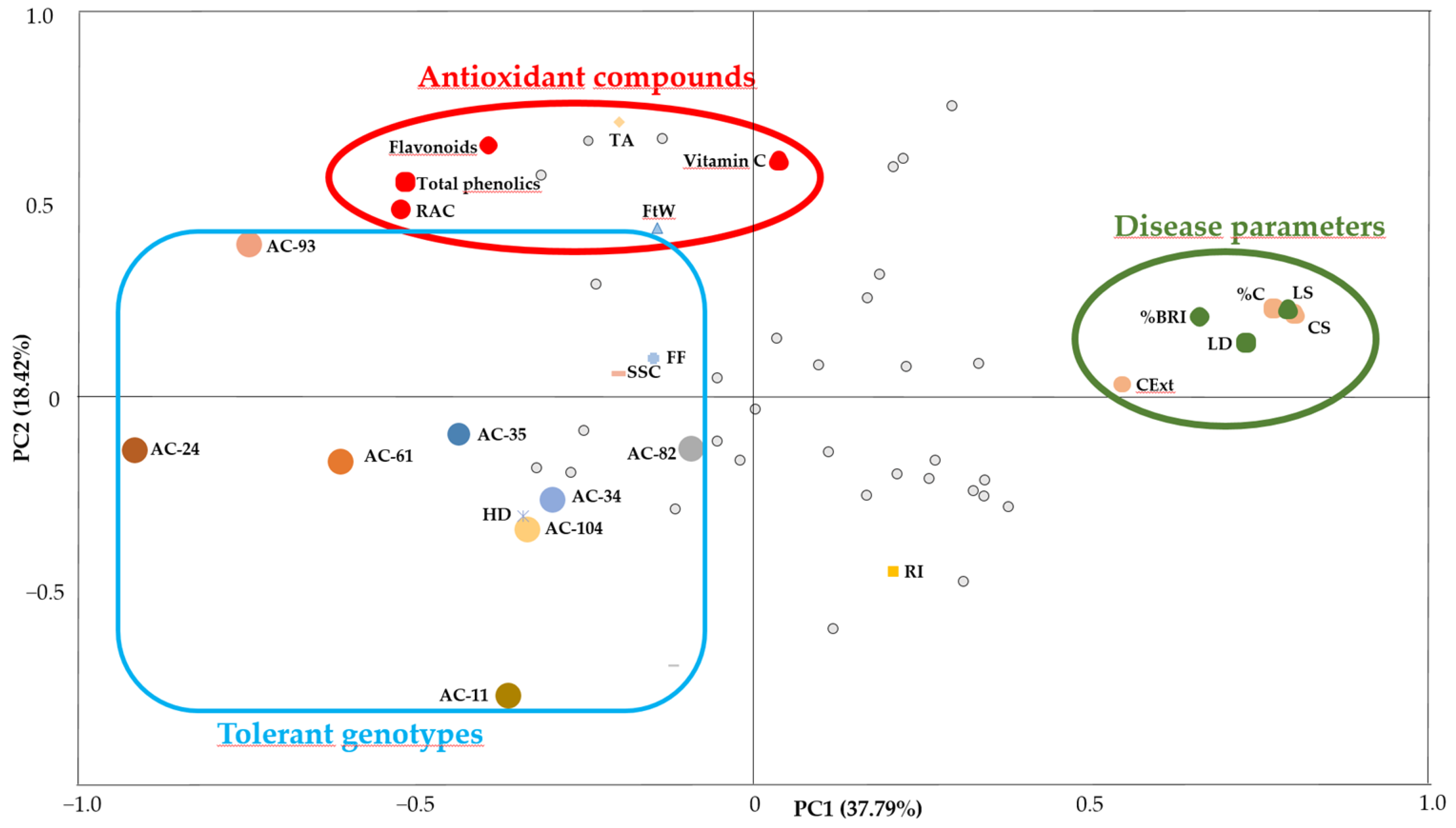Agronomy 12 02662 g001