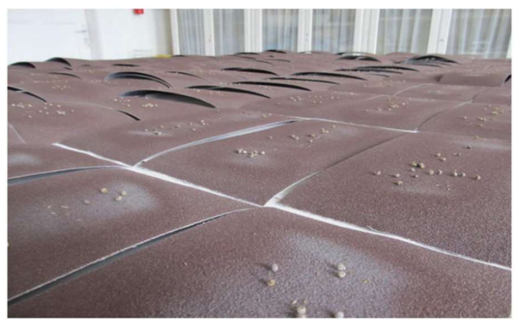 Agronomy 12 02666 g001 Agronomy 12 02666 g001