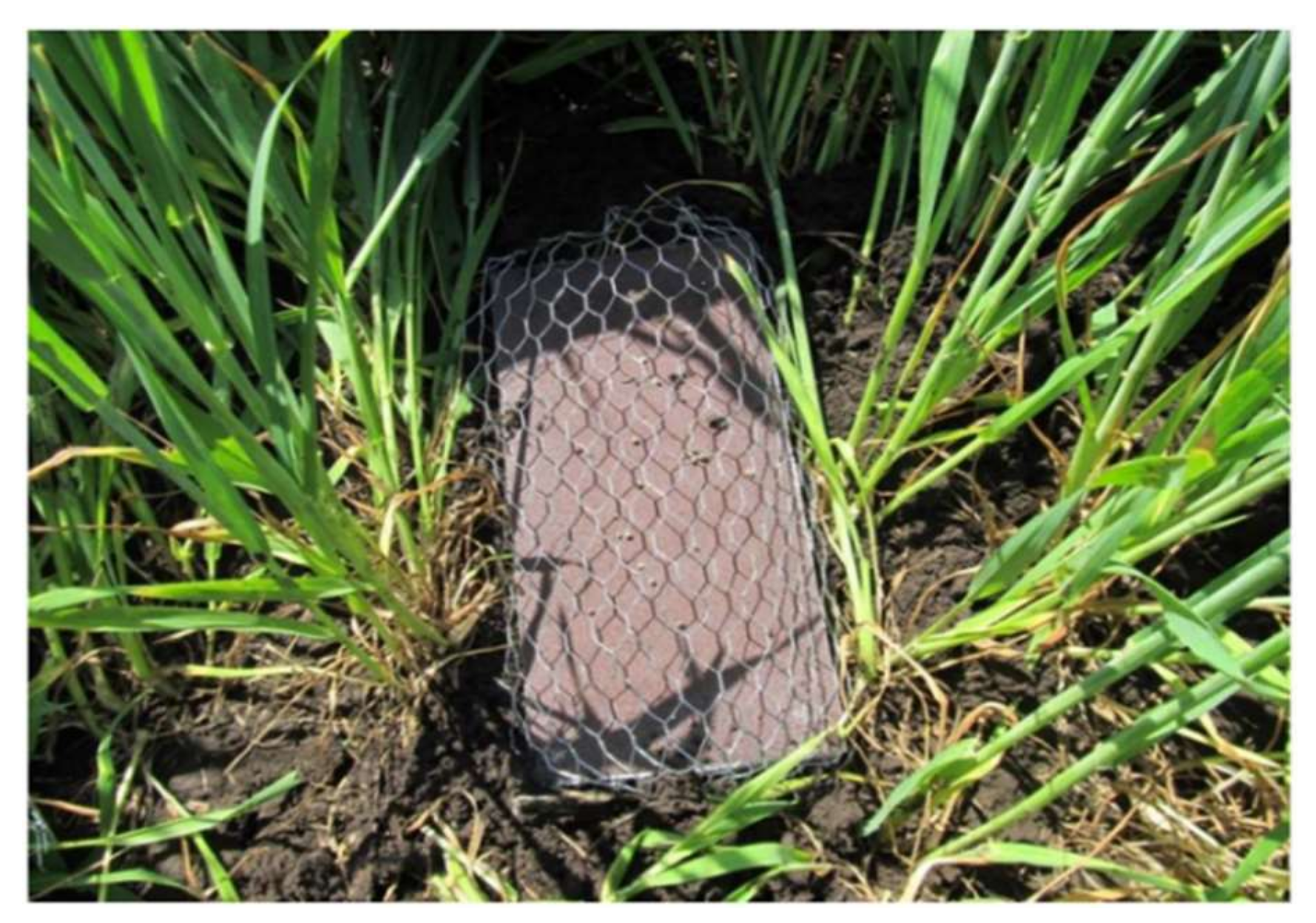 Agronomy 12 02666 g002 Agronomy 12 02666 g002