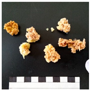 Agronomy 12 02672 i005