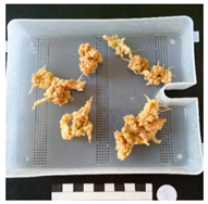 Agronomy 12 02672 i006