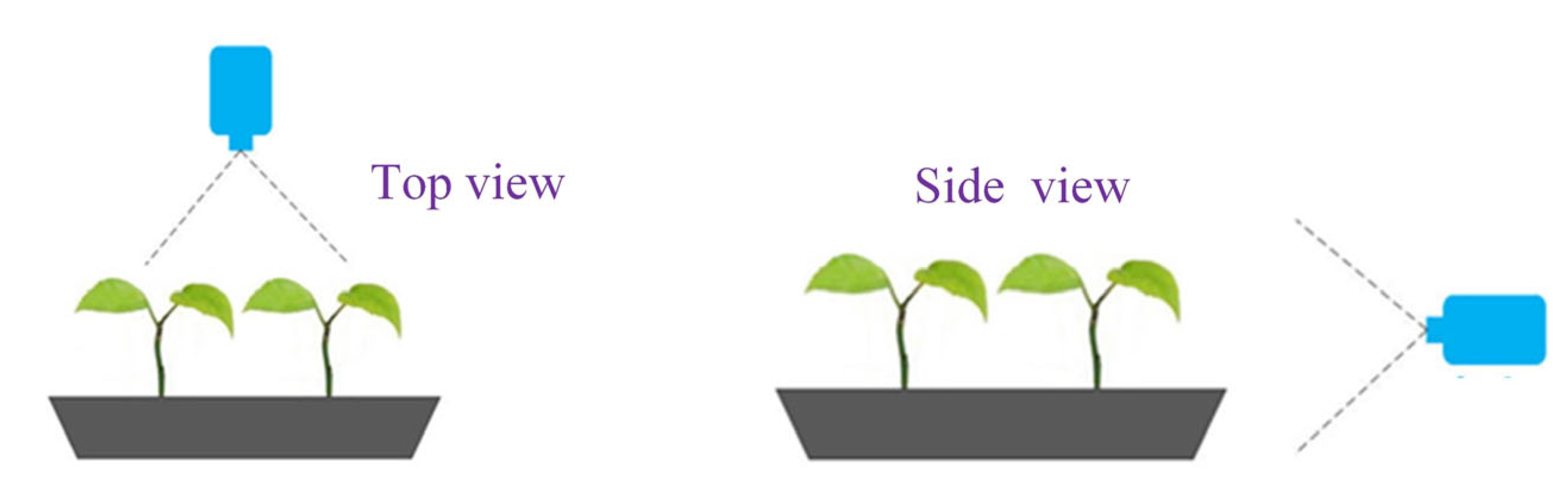 Agronomy 12 02683 g004 Agronomy 12 02683 g004