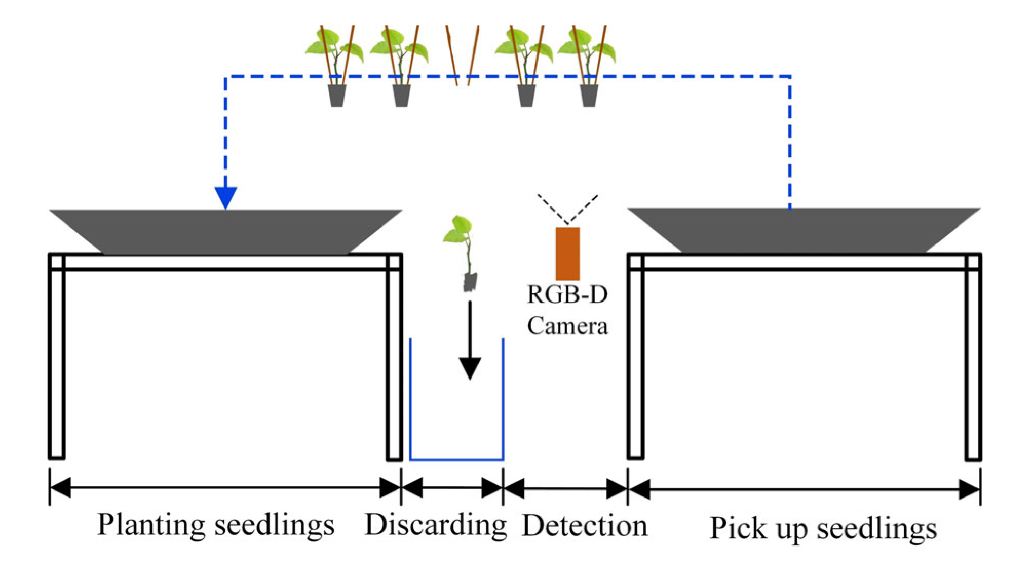 Agronomy 12 02683 g006 Agronomy 12 02683 g006