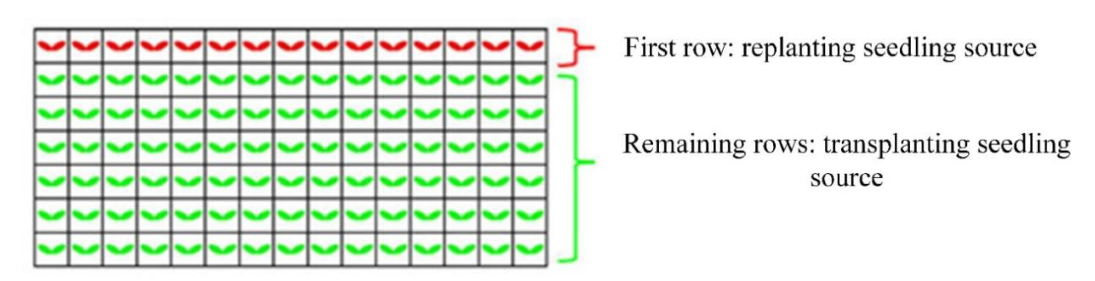 Agronomy 12 02683 g007 Agronomy 12 02683 g007