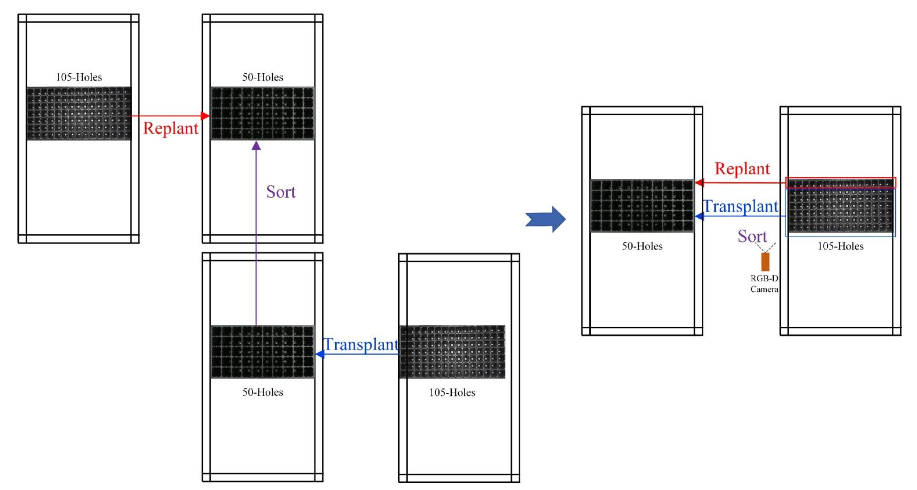 Agronomy 12 02683 g008 Agronomy 12 02683 g008