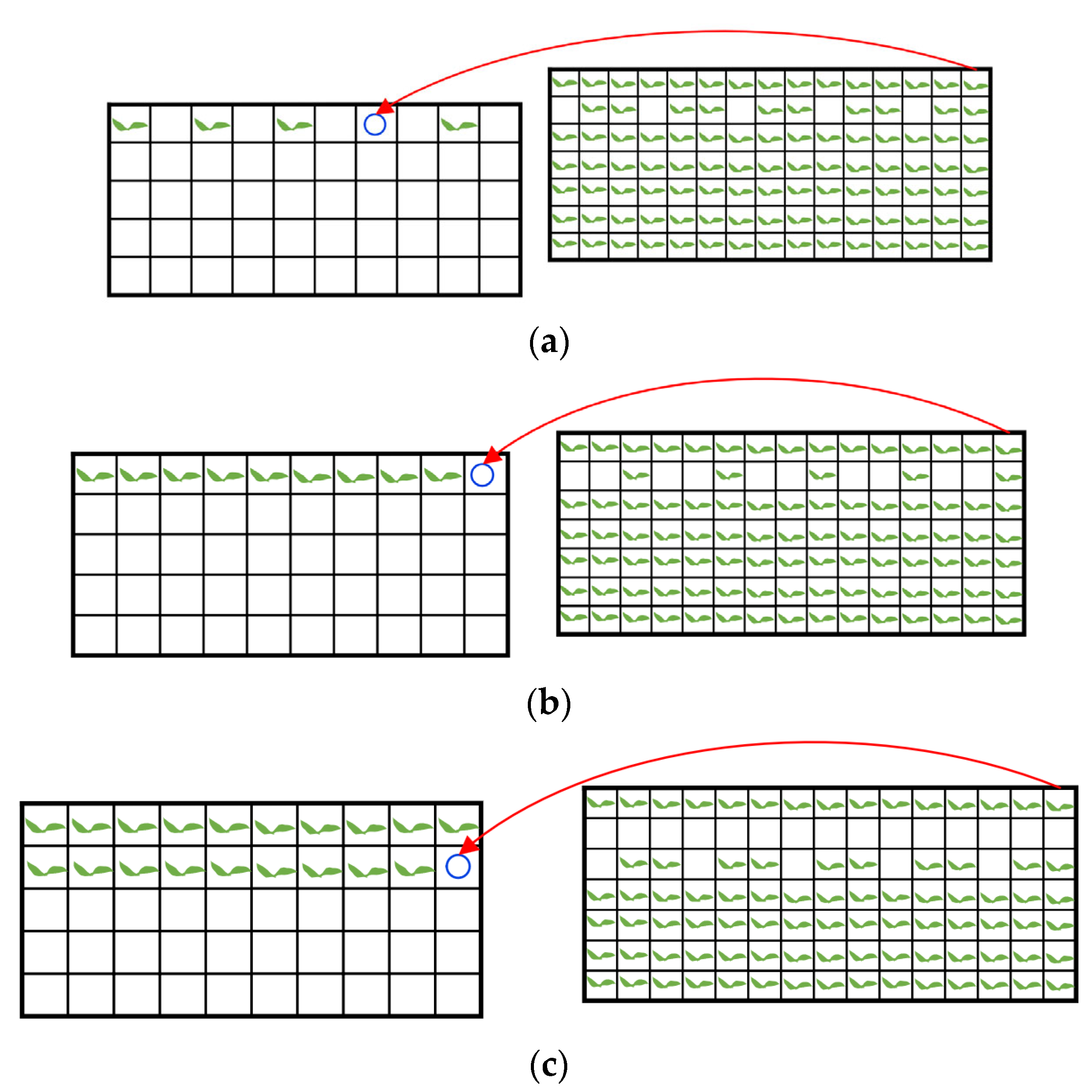 Agronomy 12 02683 g016 Agronomy 12 02683 g016