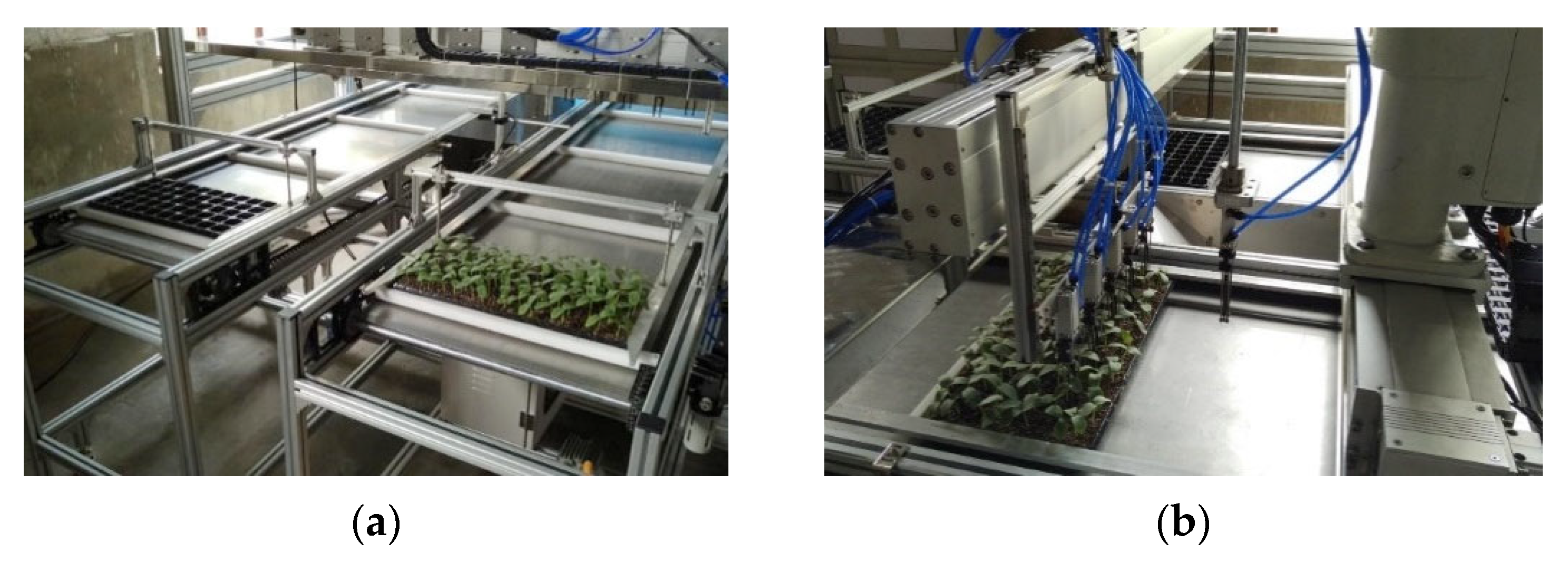 Agronomy 12 02683 g023a Agronomy 12 02683 g023a