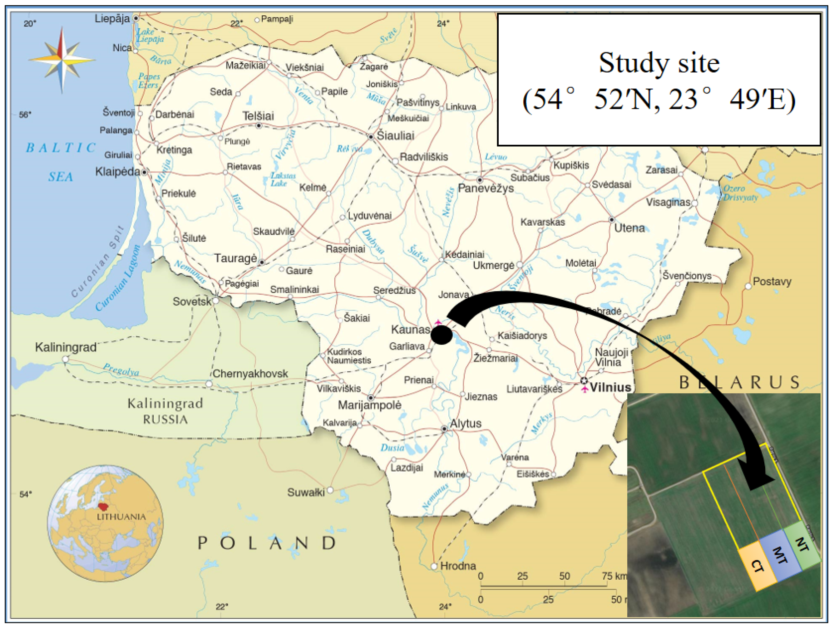 Agronomy 12 02713 g001