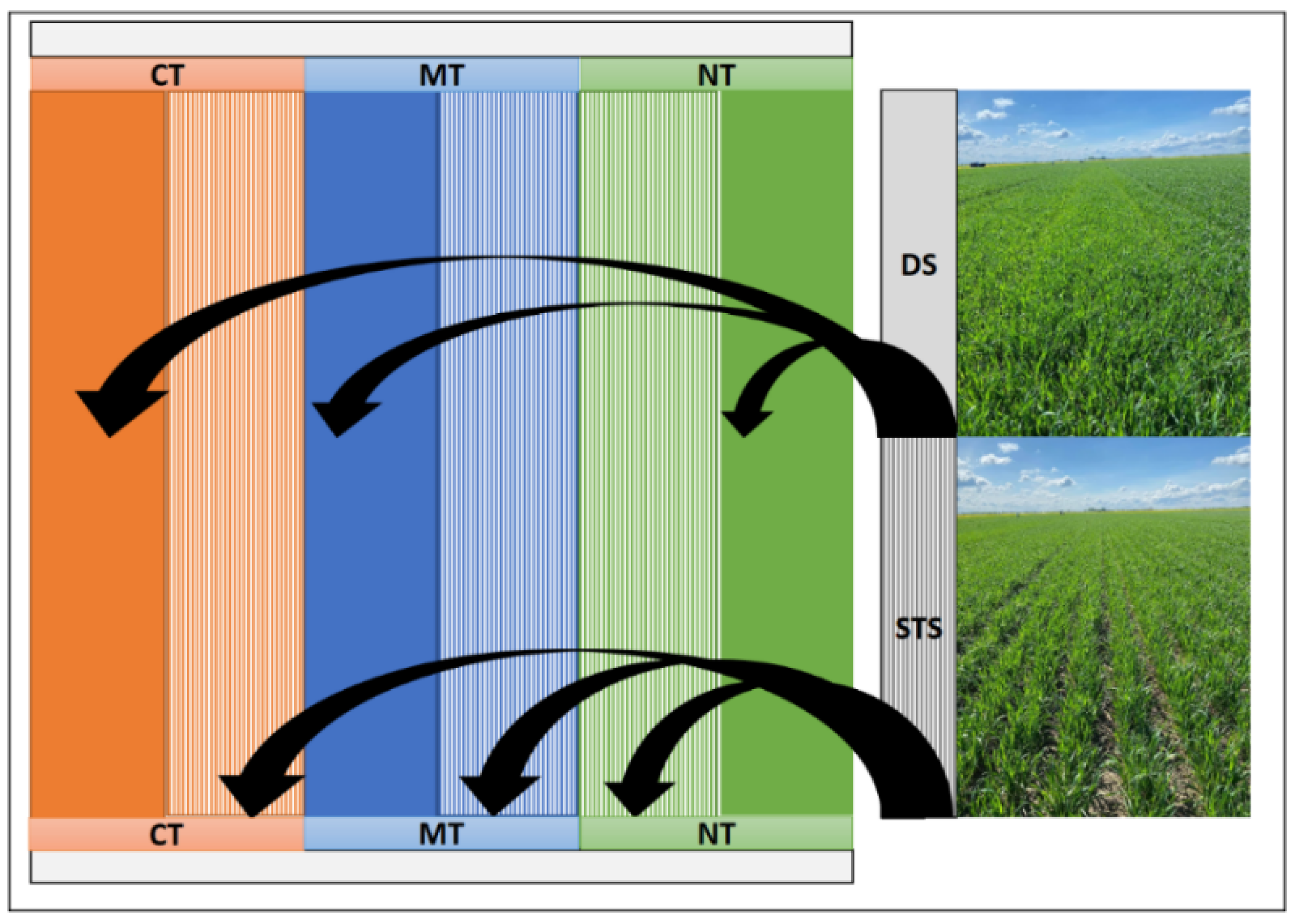 Agronomy 12 02713 g002