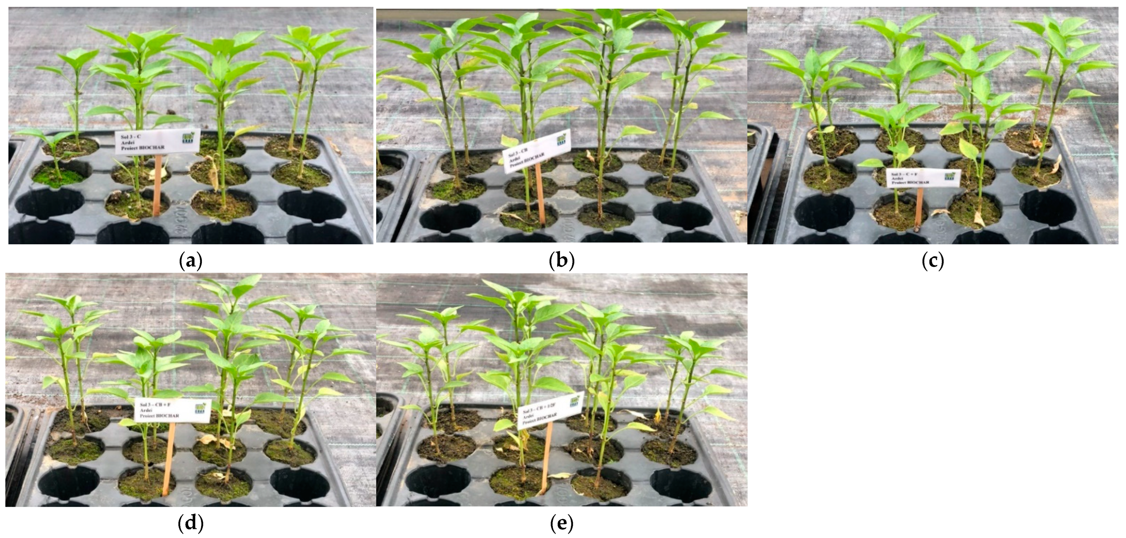 Agronomy 12 02730 g004