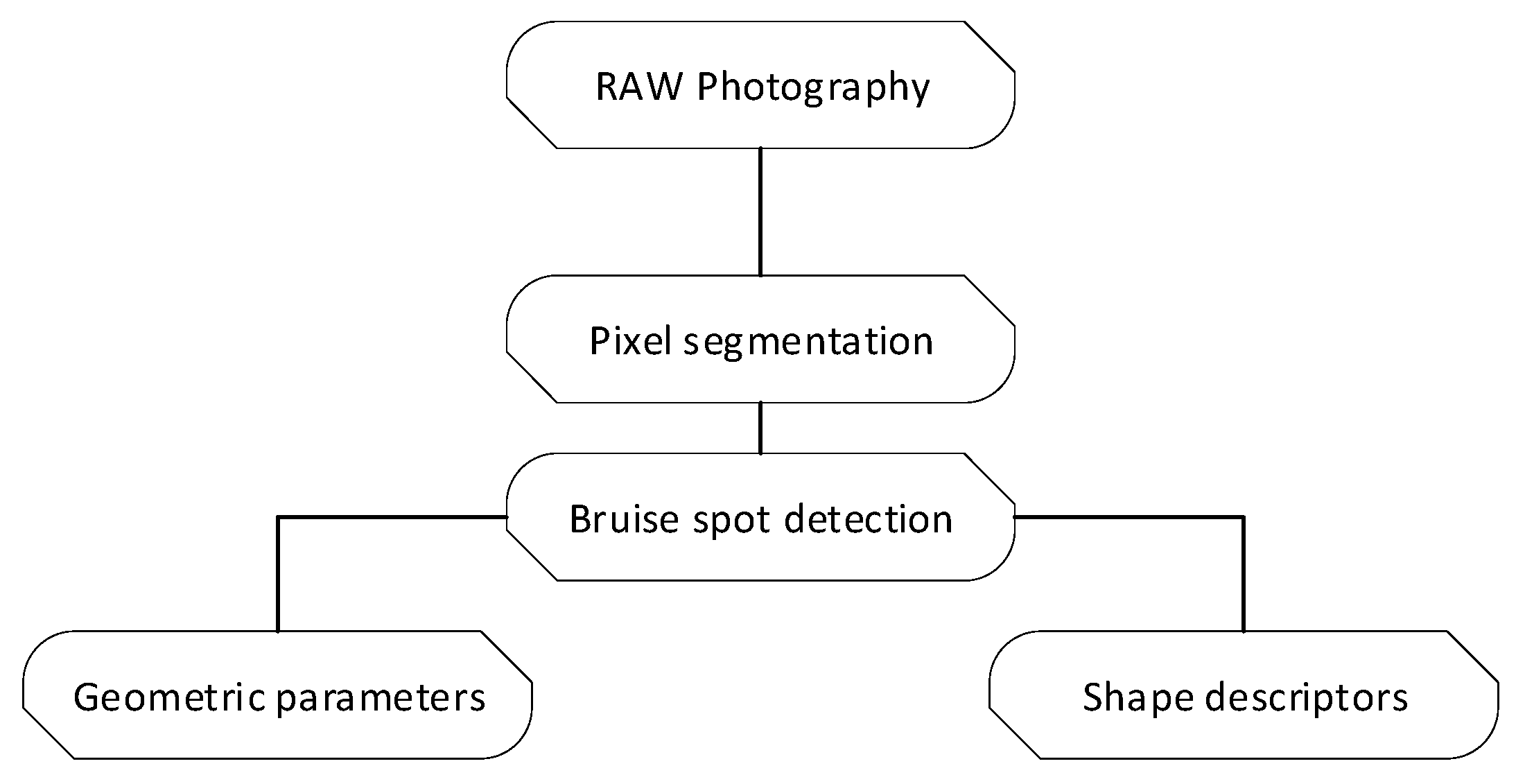 Agronomy 12 02732 g001