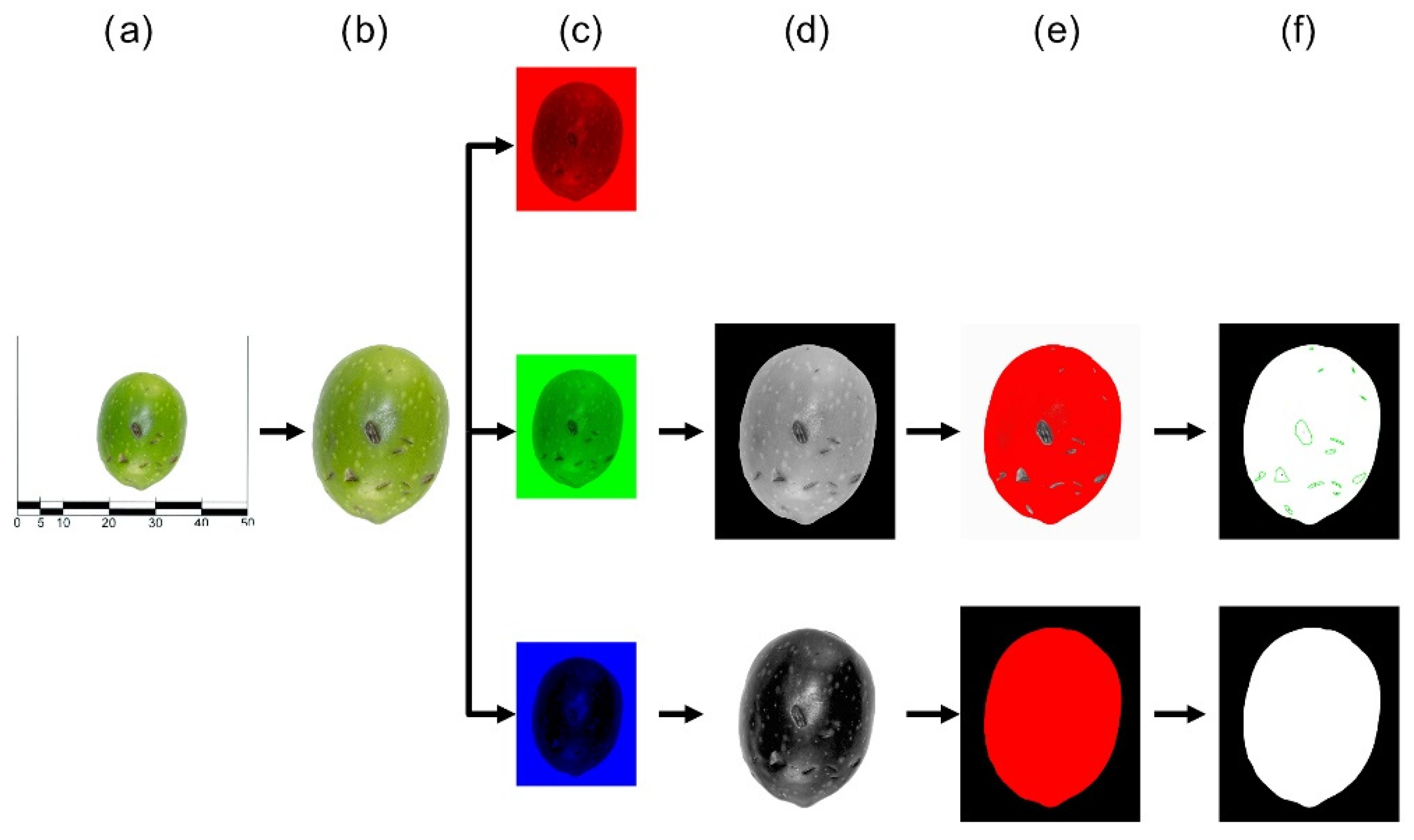 Agronomy 12 02732 g002