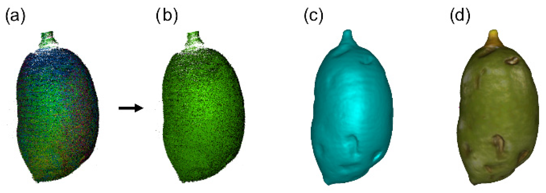 Agronomy 12 02732 g004