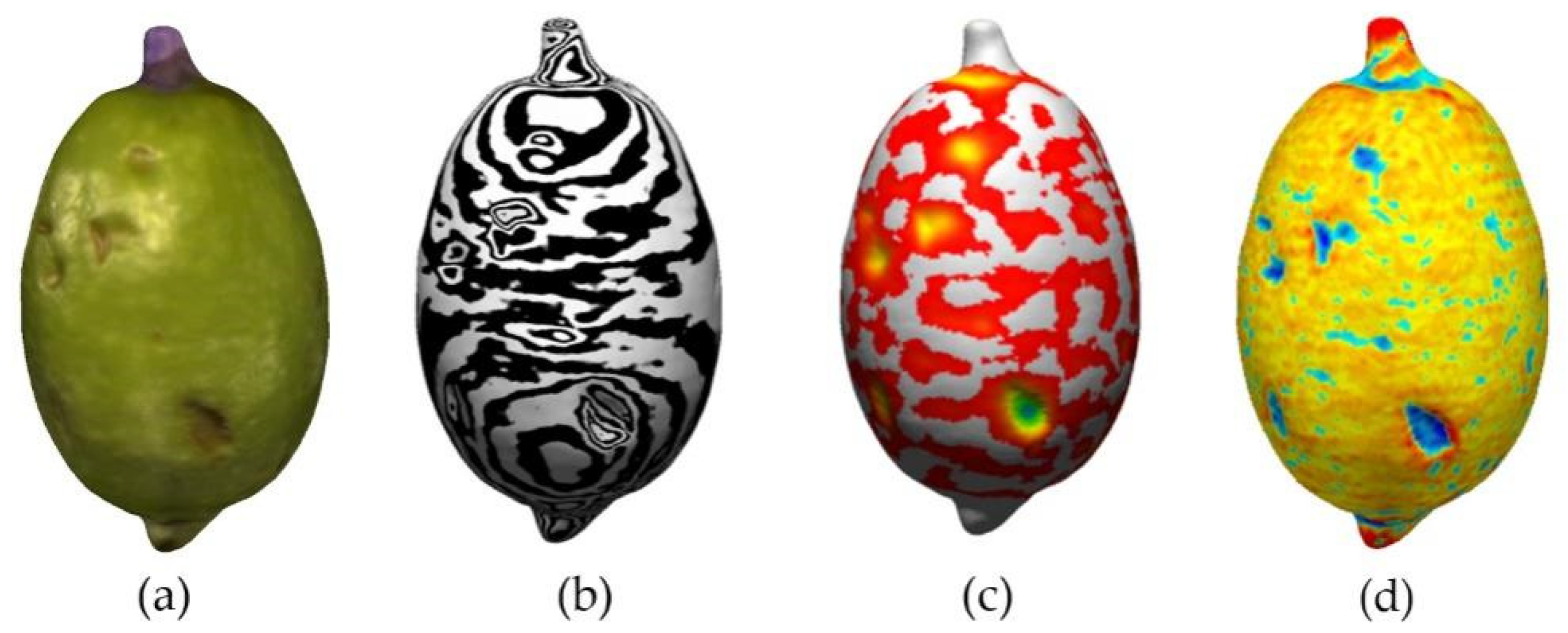 Agronomy 12 02732 g005