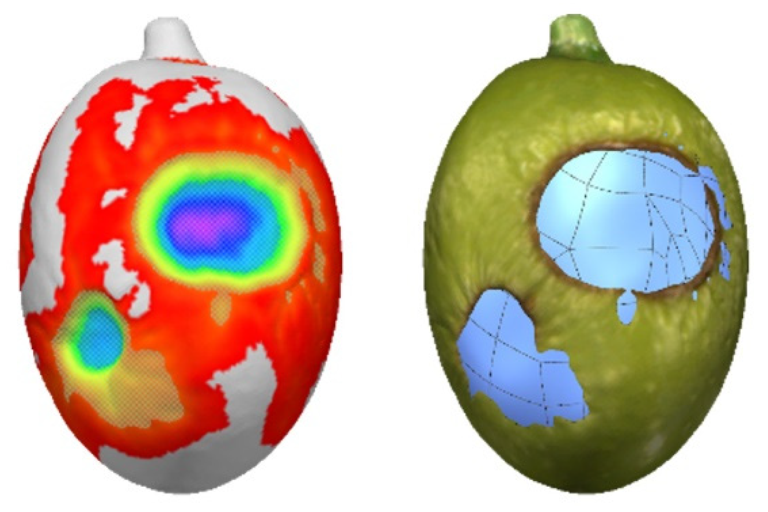 Agronomy 12 02732 g011
