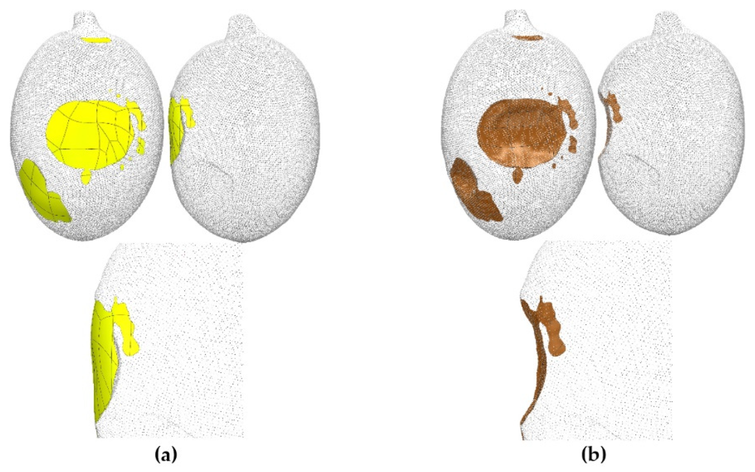 Agronomy 12 02732 g012