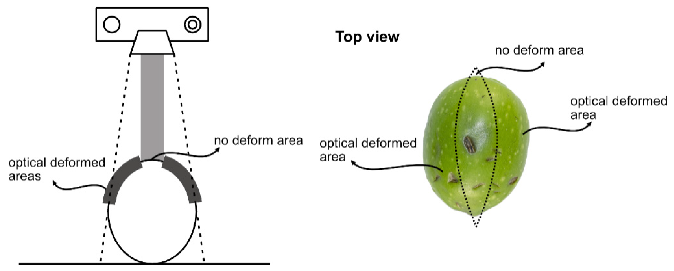 Agronomy 12 02732 g013