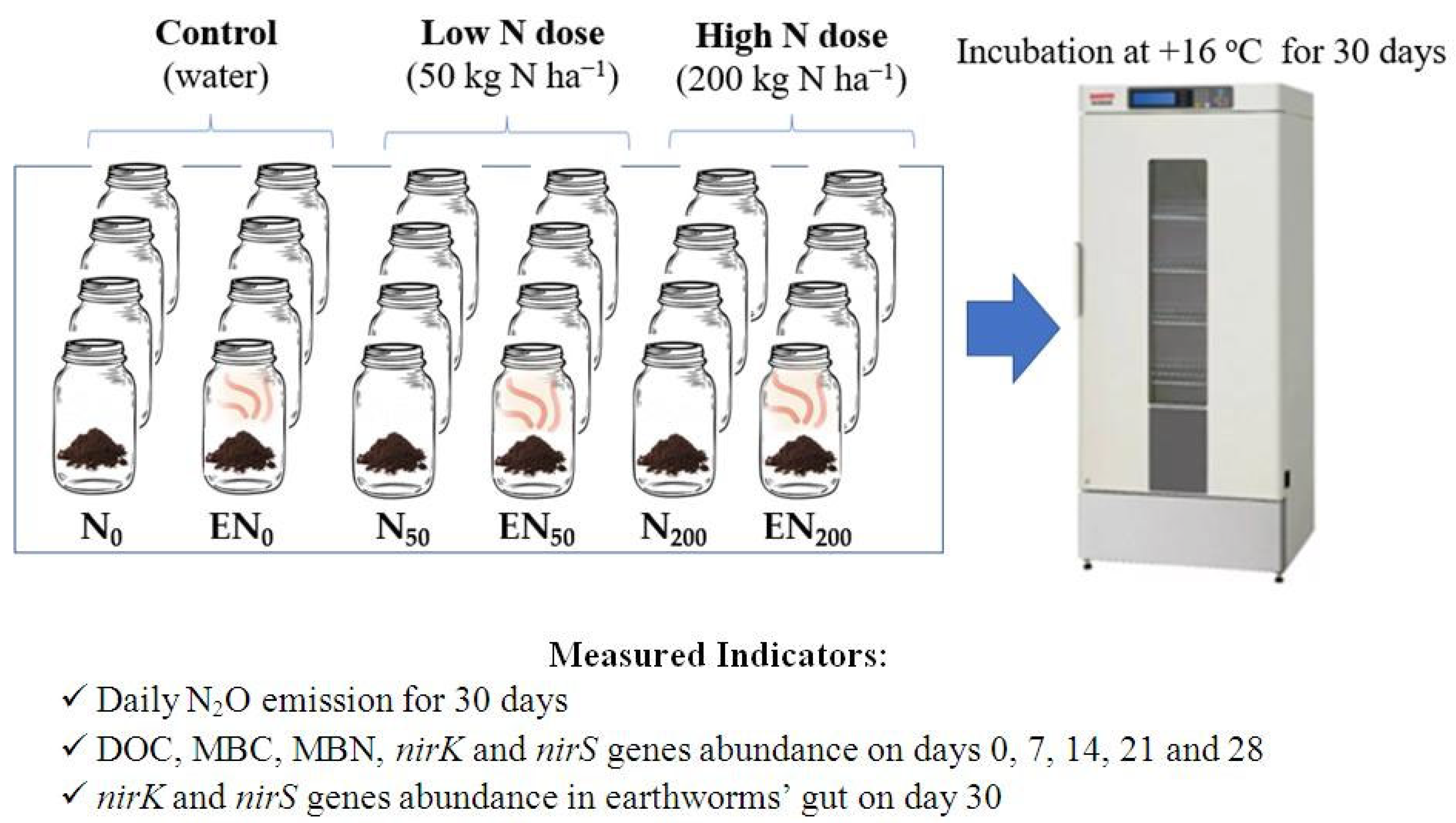 Agronomy 12 02745 g001