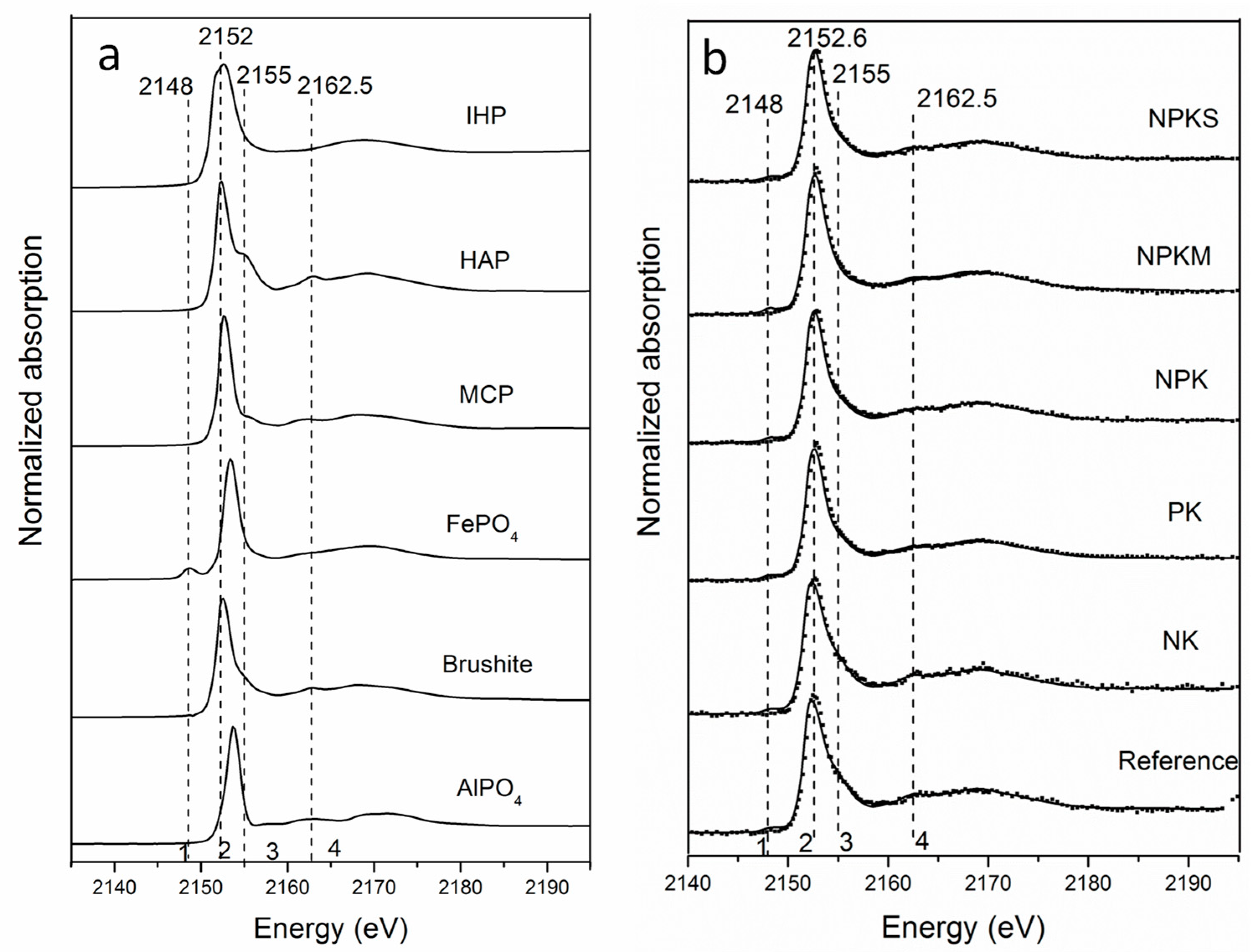 Agronomy 12 02760 g001
