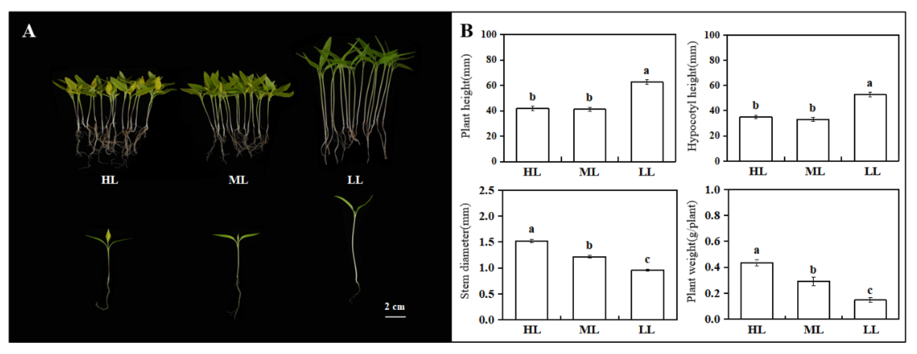 Agronomy 12 02762 g001 Agronomy 12 02762 g001