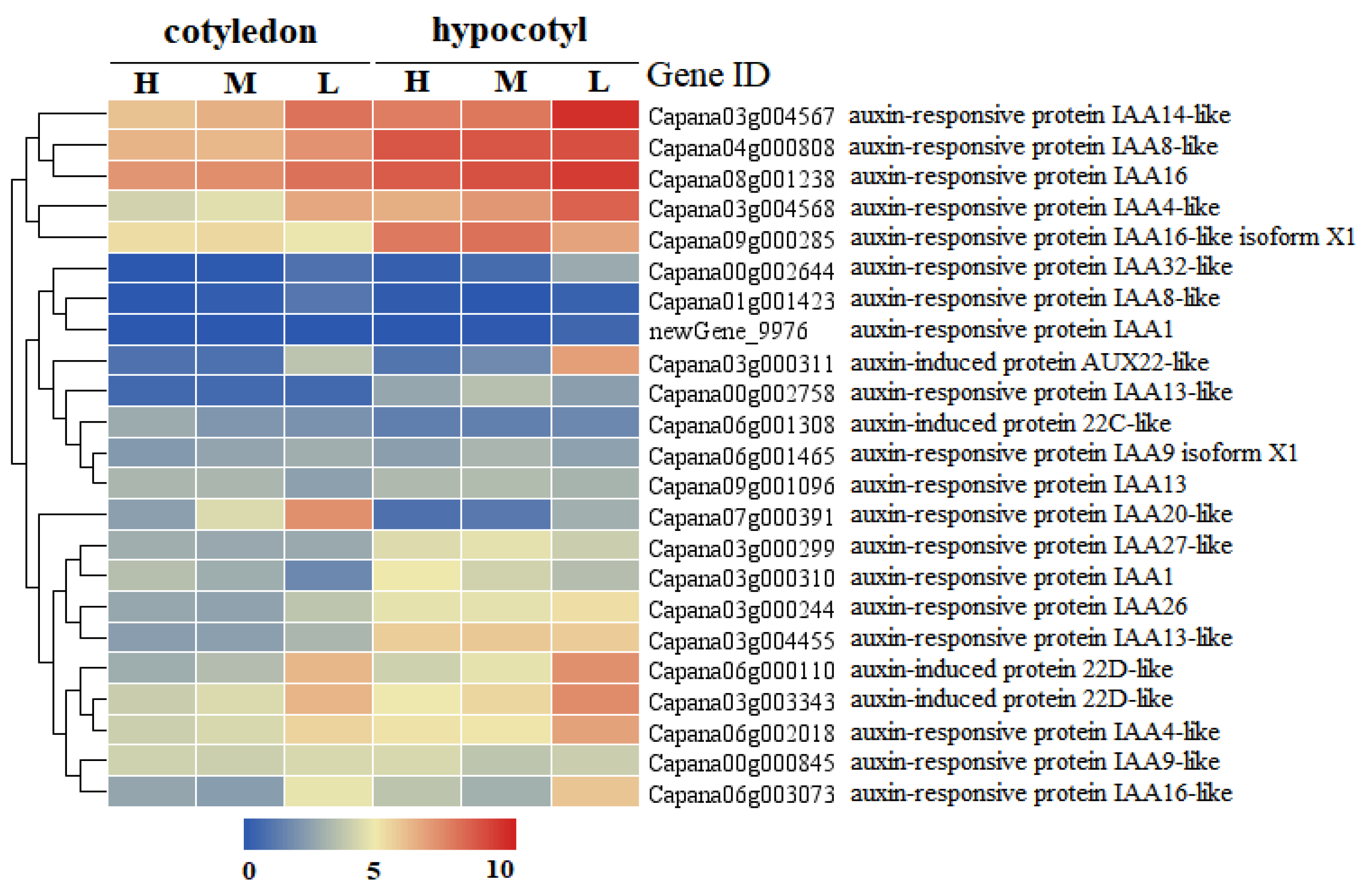 Agronomy 12 02762 g004 Agronomy 12 02762 g004
