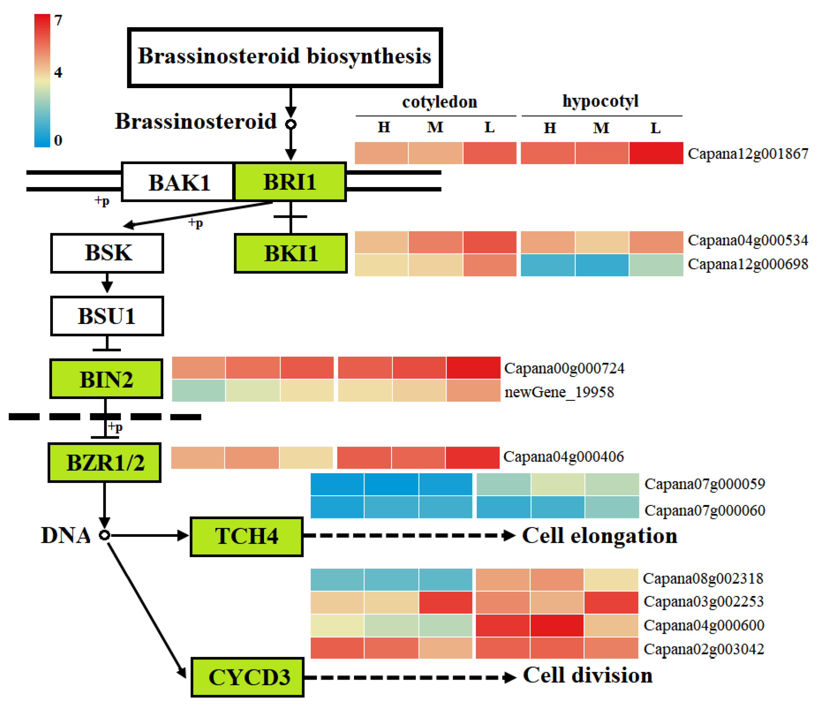 Agronomy 12 02762 g006 Agronomy 12 02762 g006