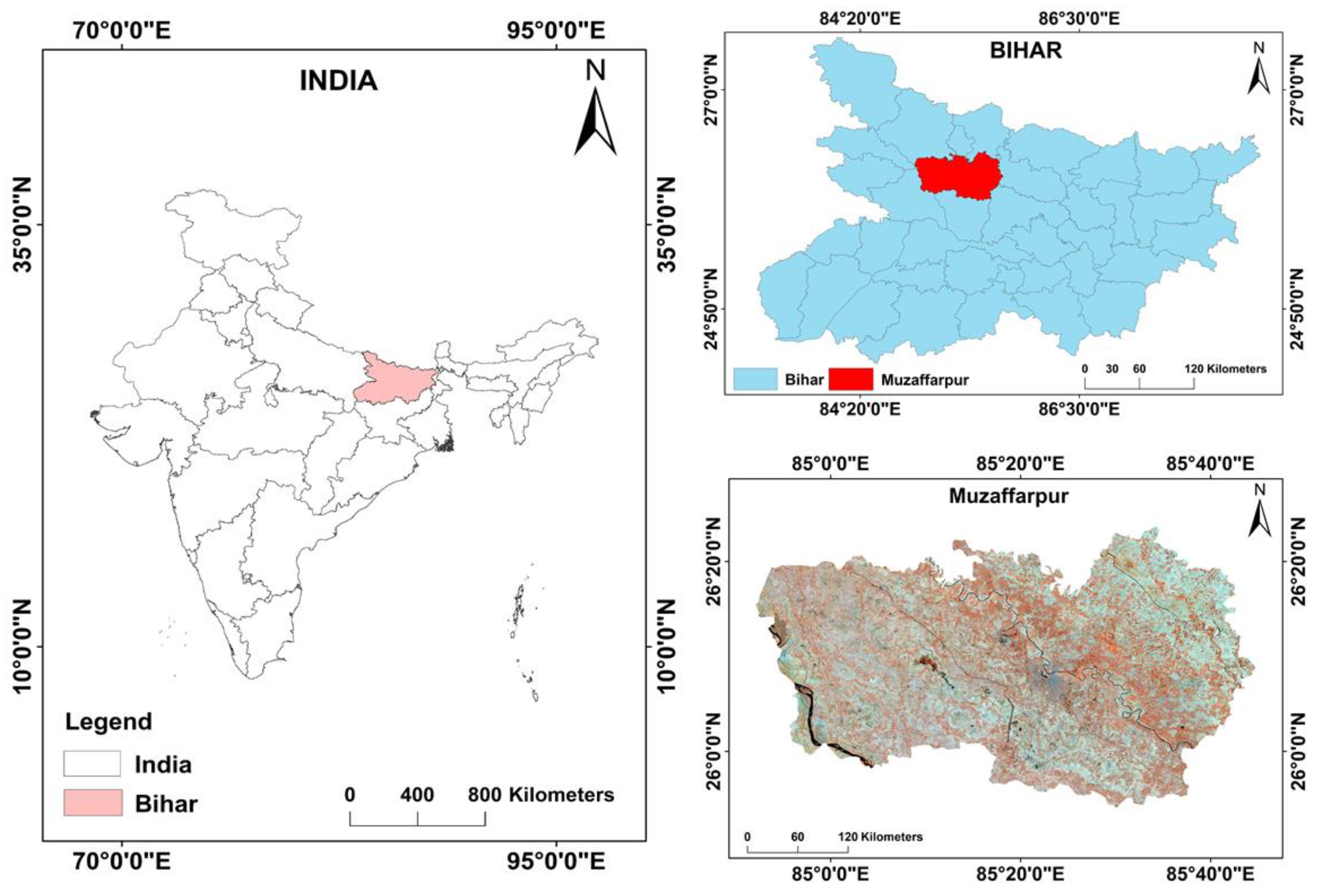 Agronomy 12 02772 g001