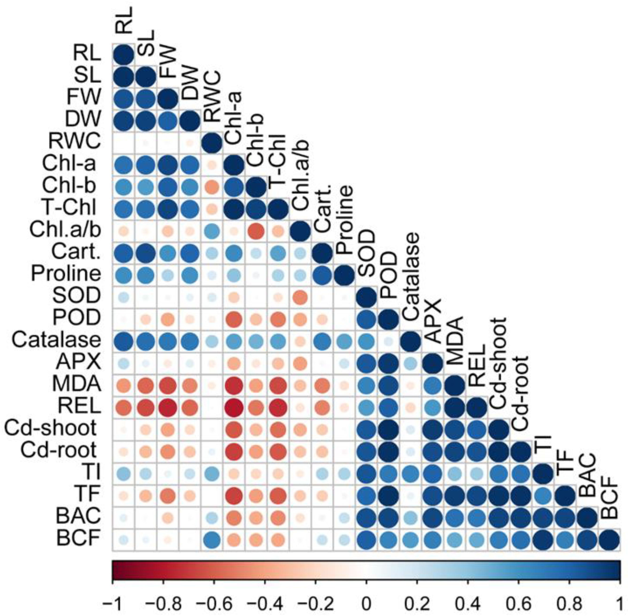 Agronomy 12 02776 g006