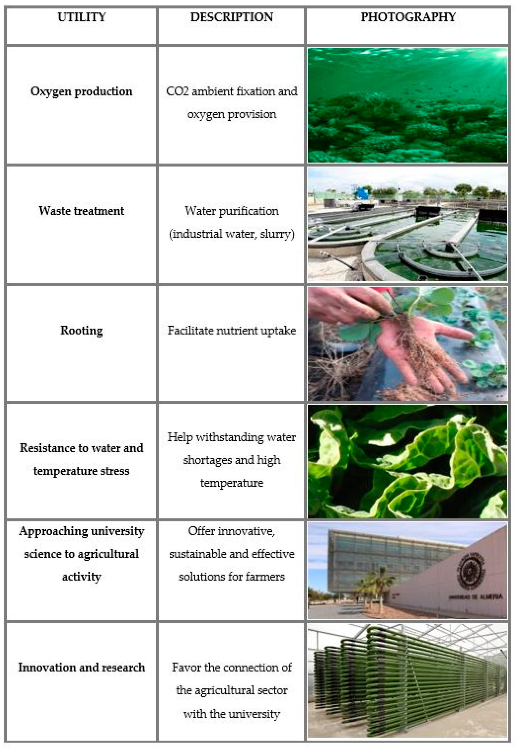 Agronomy 12 02778 g0a1