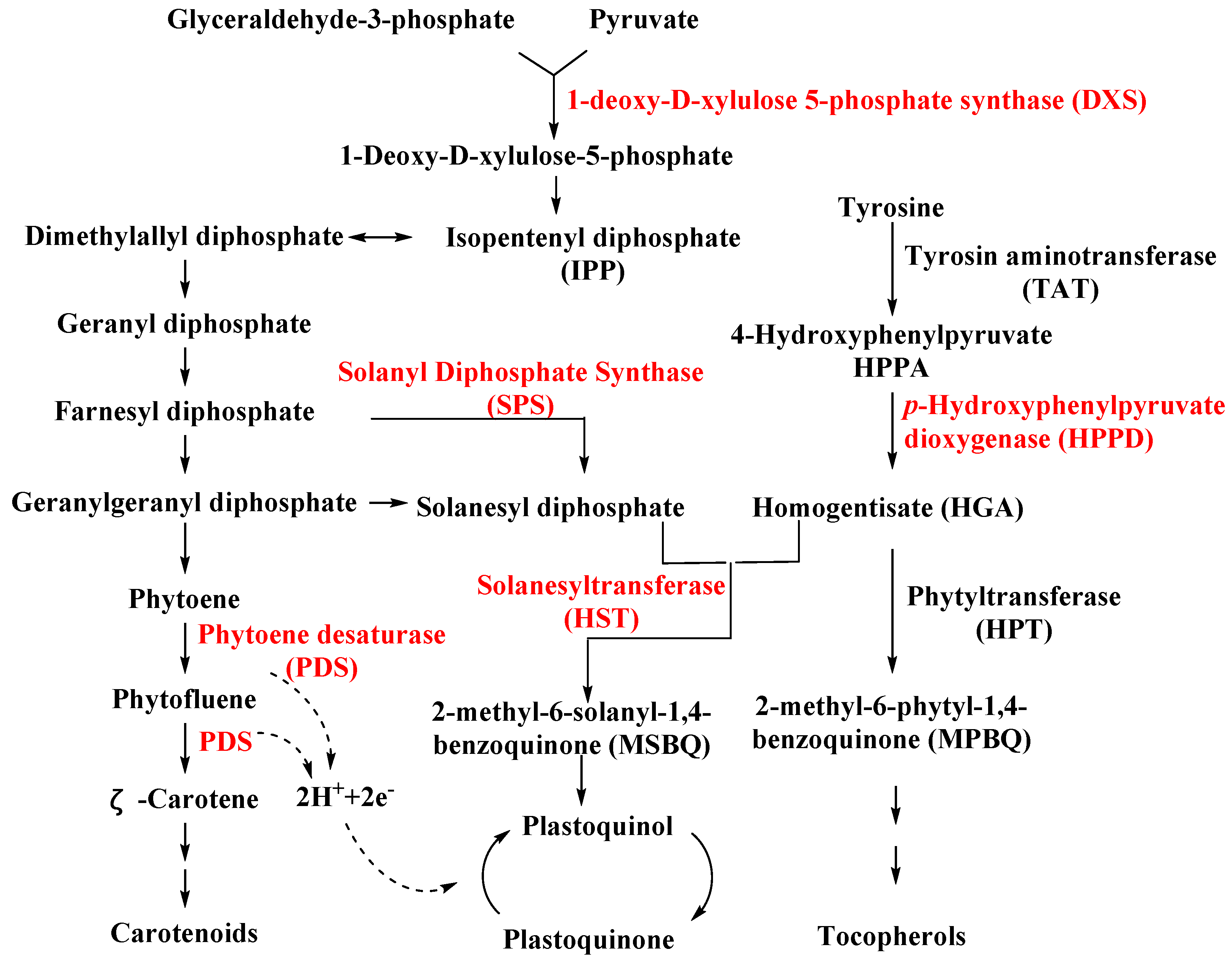 Agronomy 12 02792 g001