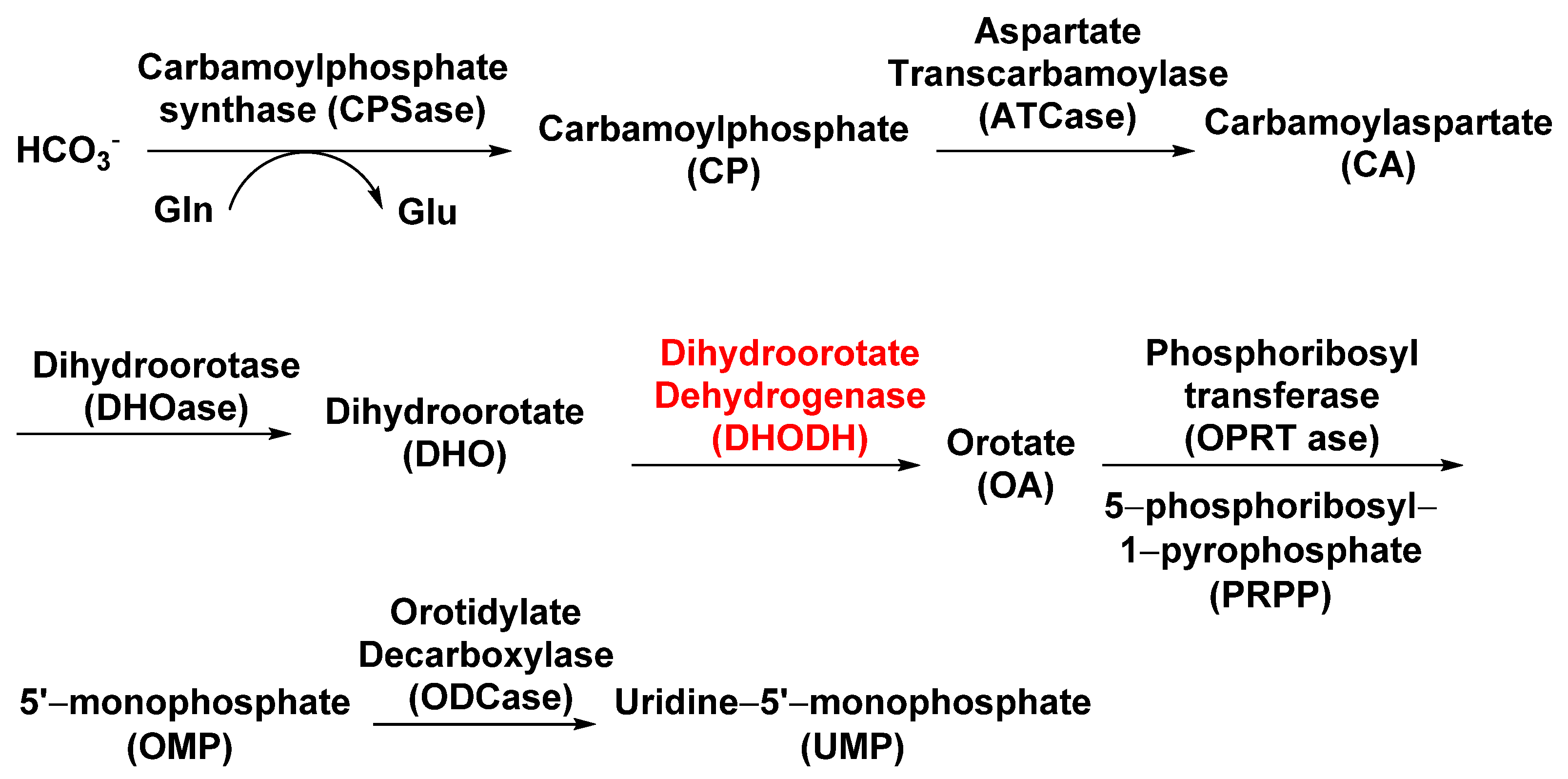 Agronomy 12 02792 g003