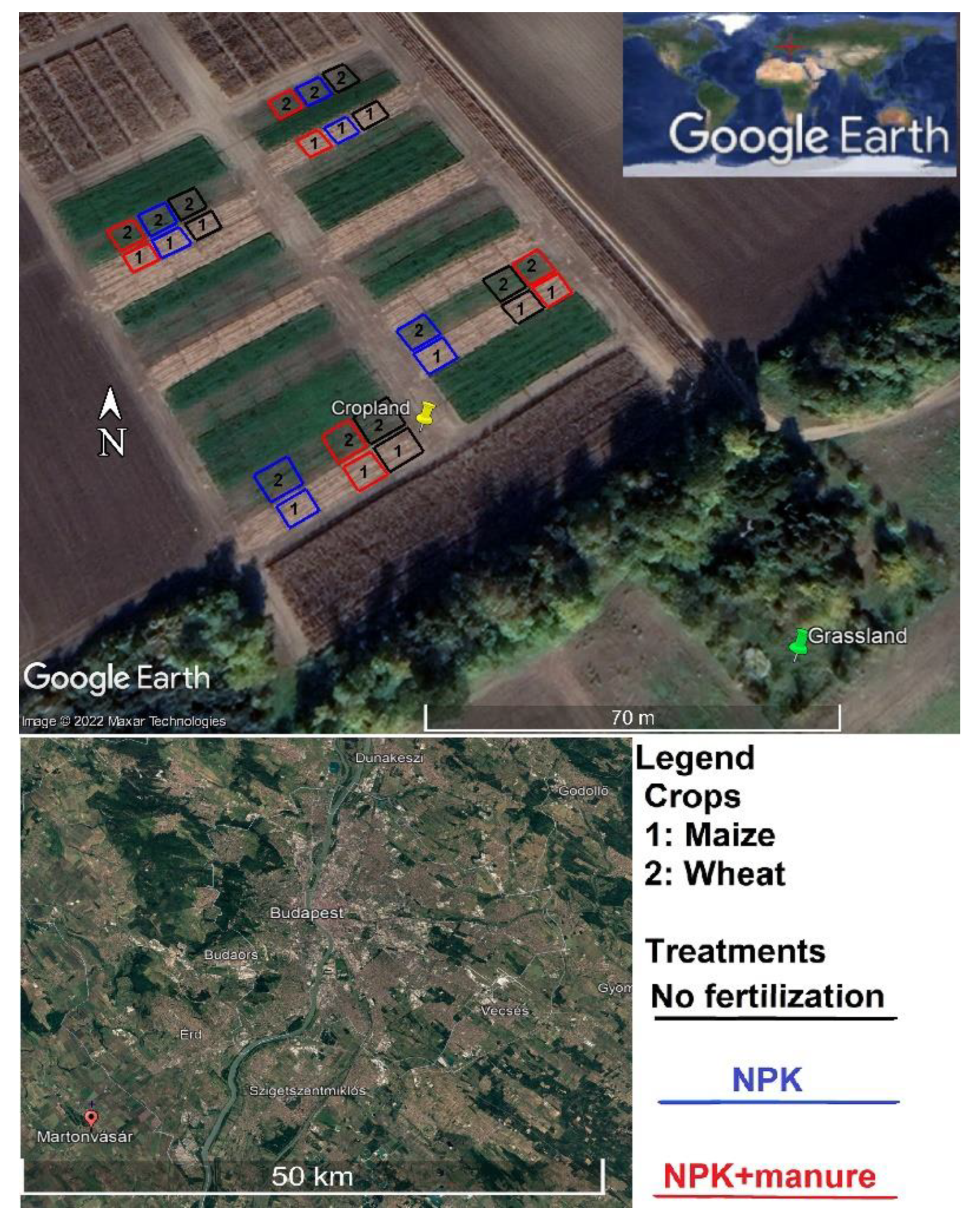 Agronomy 12 02797 g001