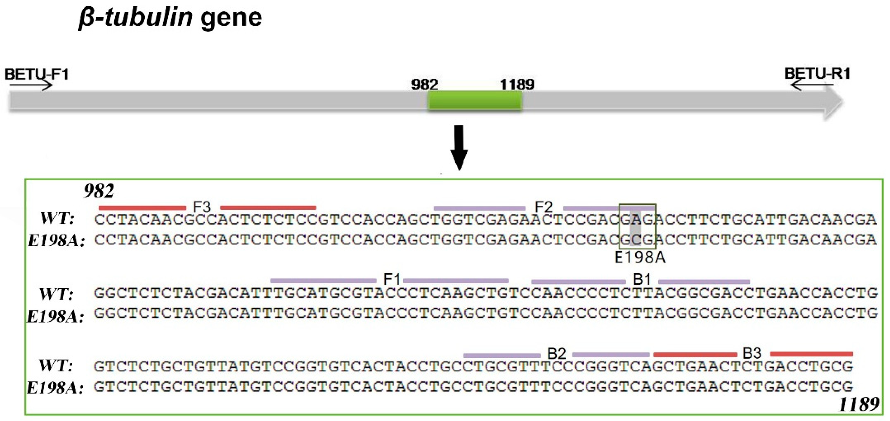 Agronomy 12 02815 g002 Agronomy 12 02815 g002