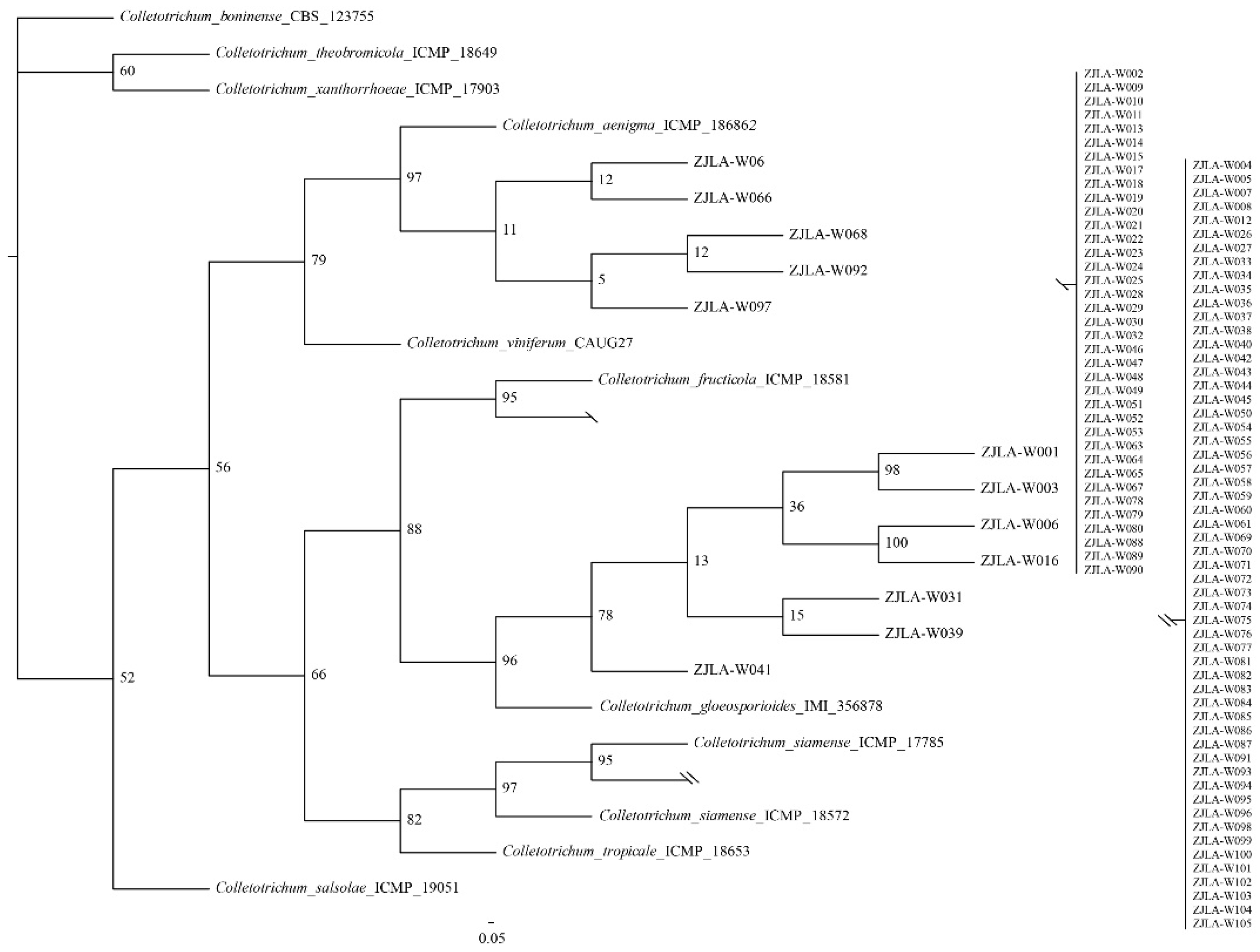Agronomy 12 02815 g003 Agronomy 12 02815 g003