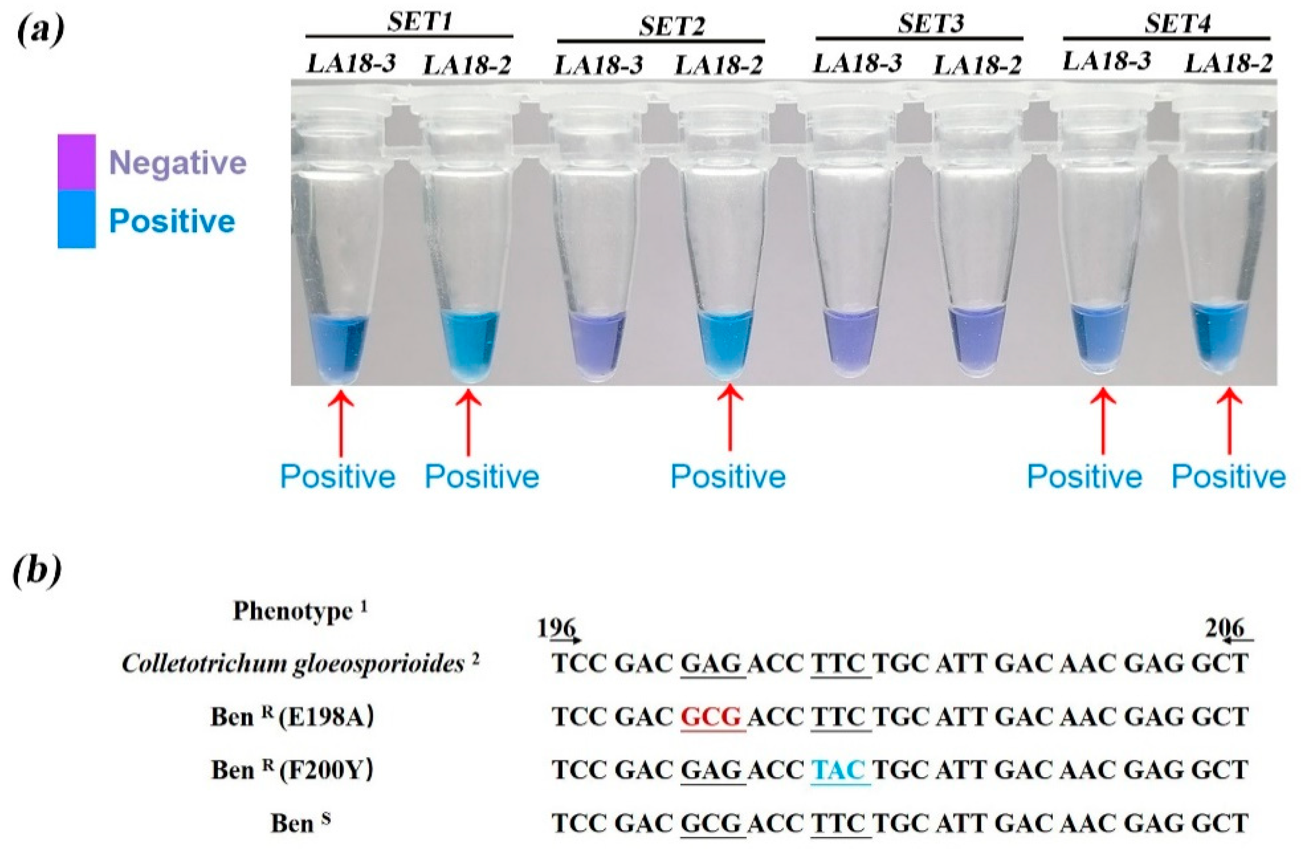 Agronomy 12 02815 g005 Agronomy 12 02815 g005