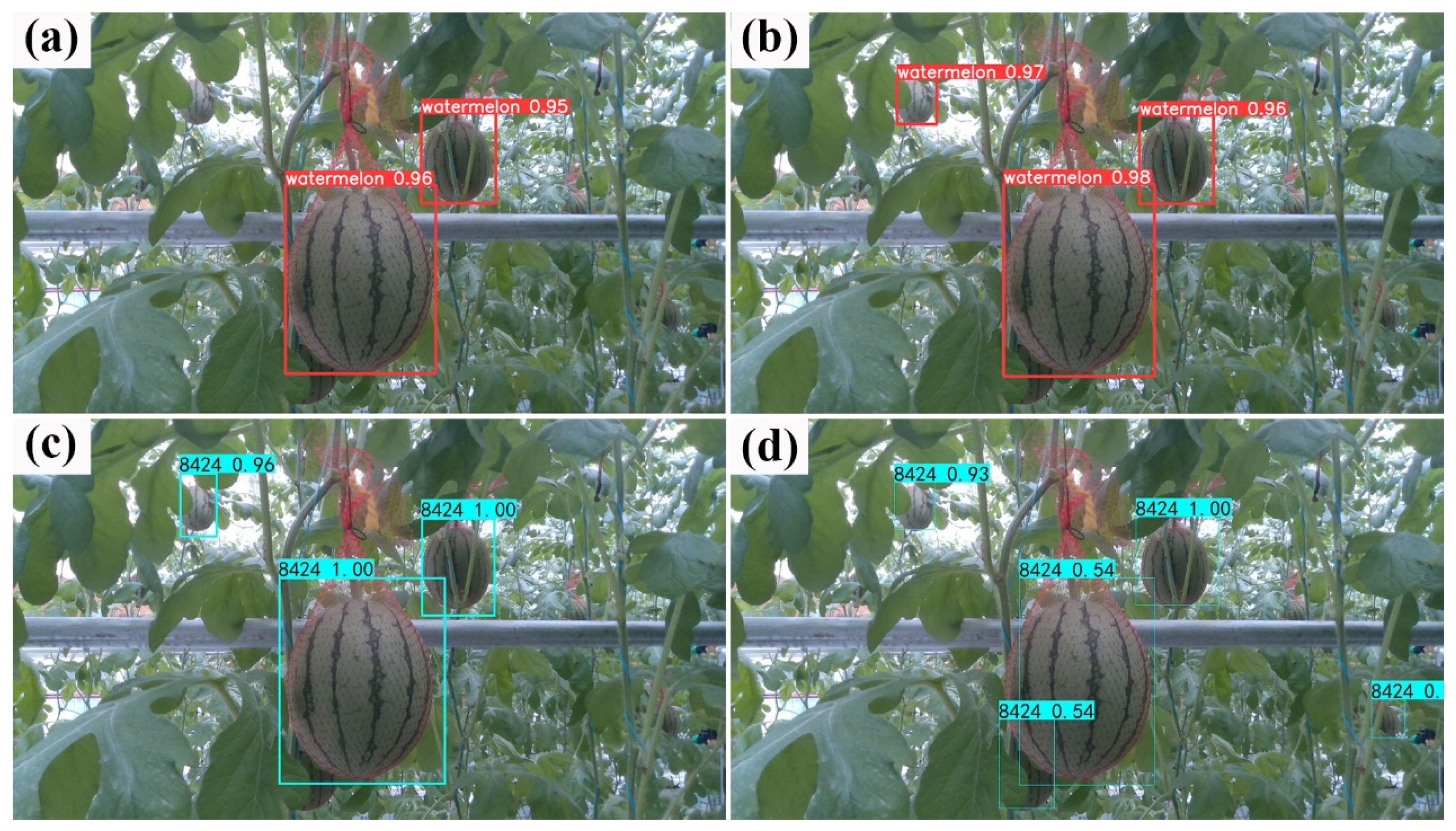 Agronomy 12 02836 g013