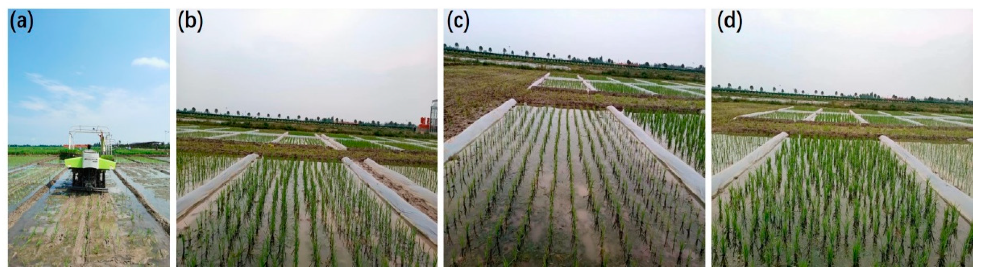 Agronomy 12 02837 g001