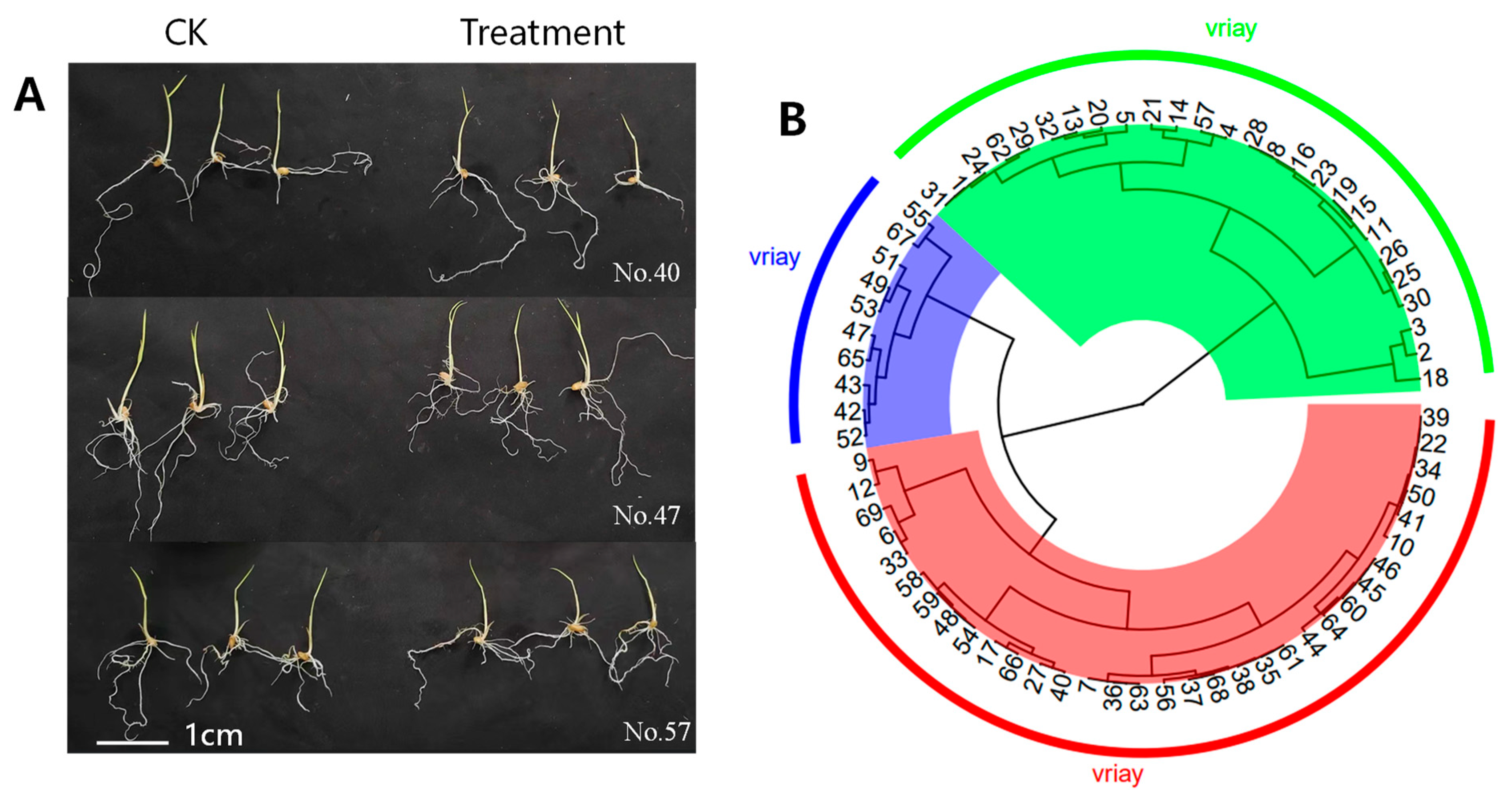 Agronomy 12 02849 g001 Agronomy 12 02849 g001