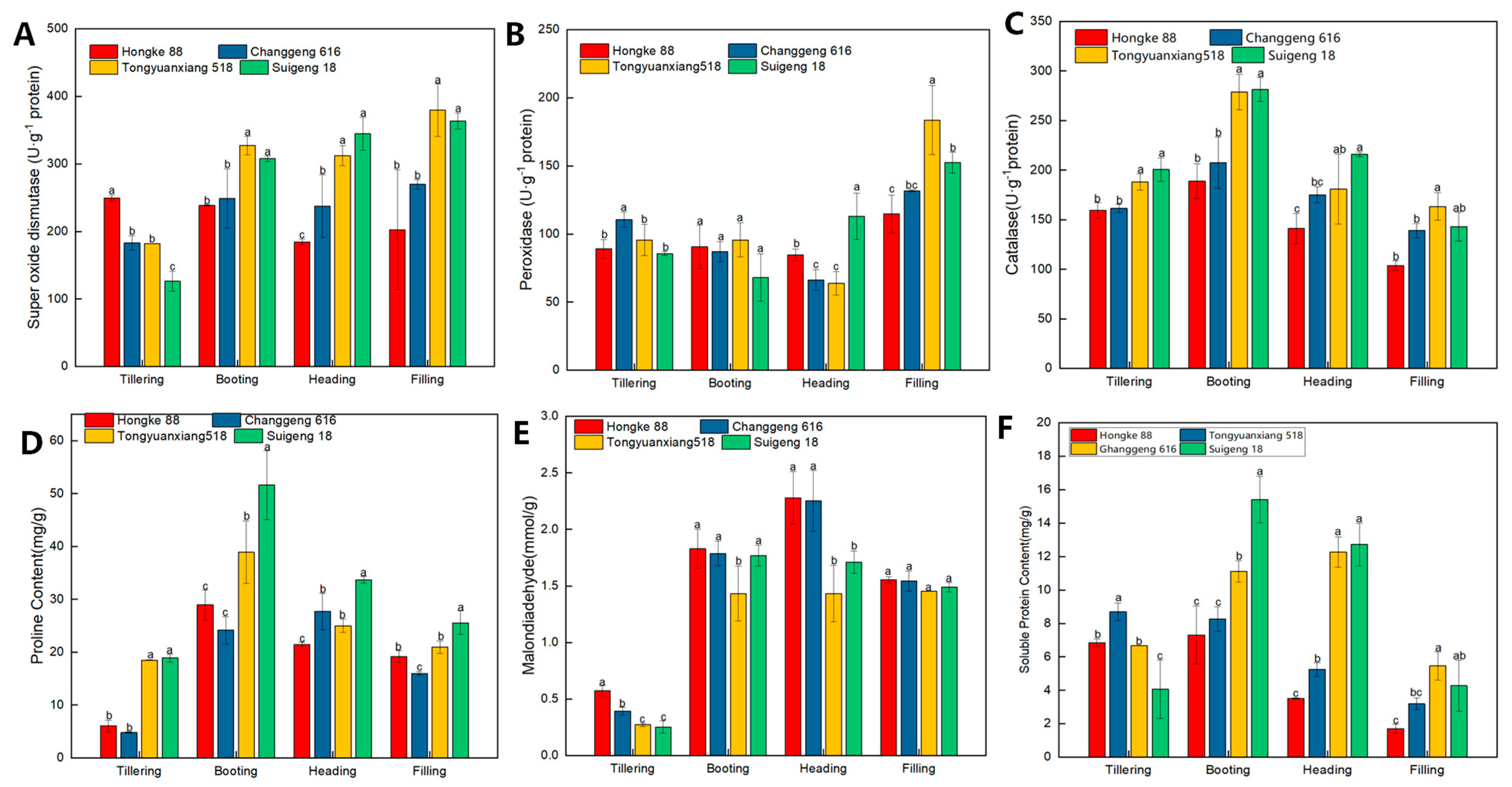 Agronomy 12 02849 g003 Agronomy 12 02849 g003
