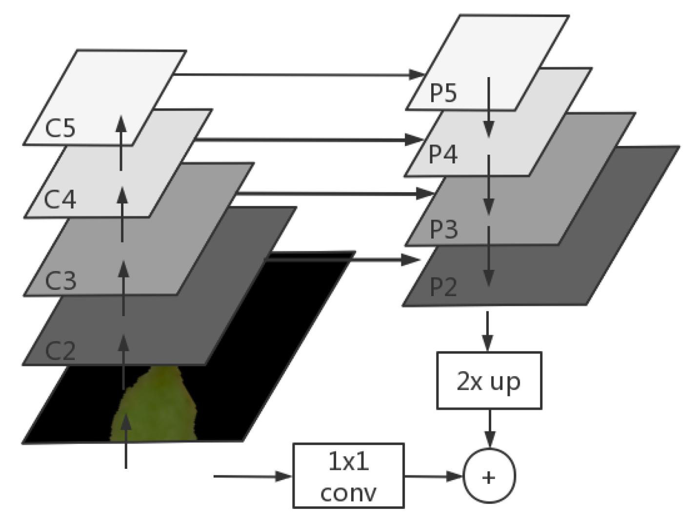 Agronomy 12 02867 g004