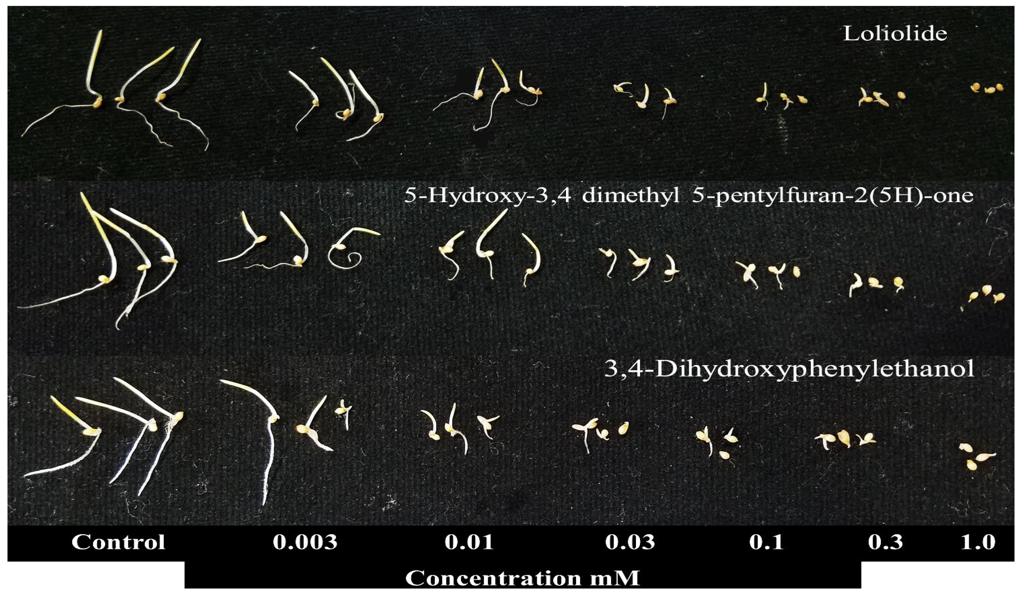 Agronomy 12 02883 g006b