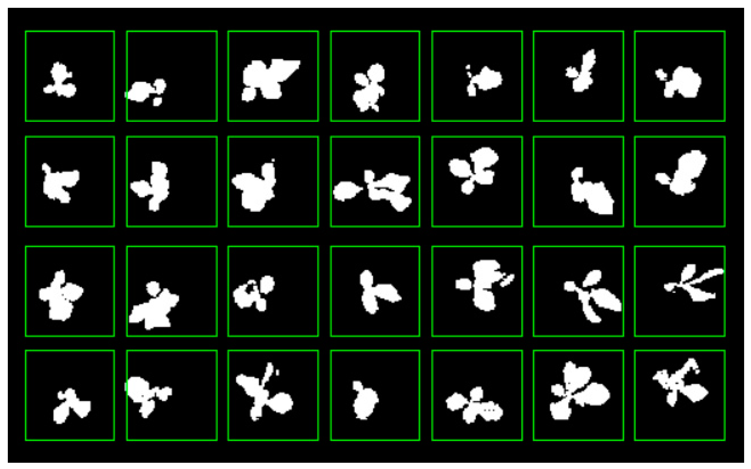 Agronomy 12 02899 g007