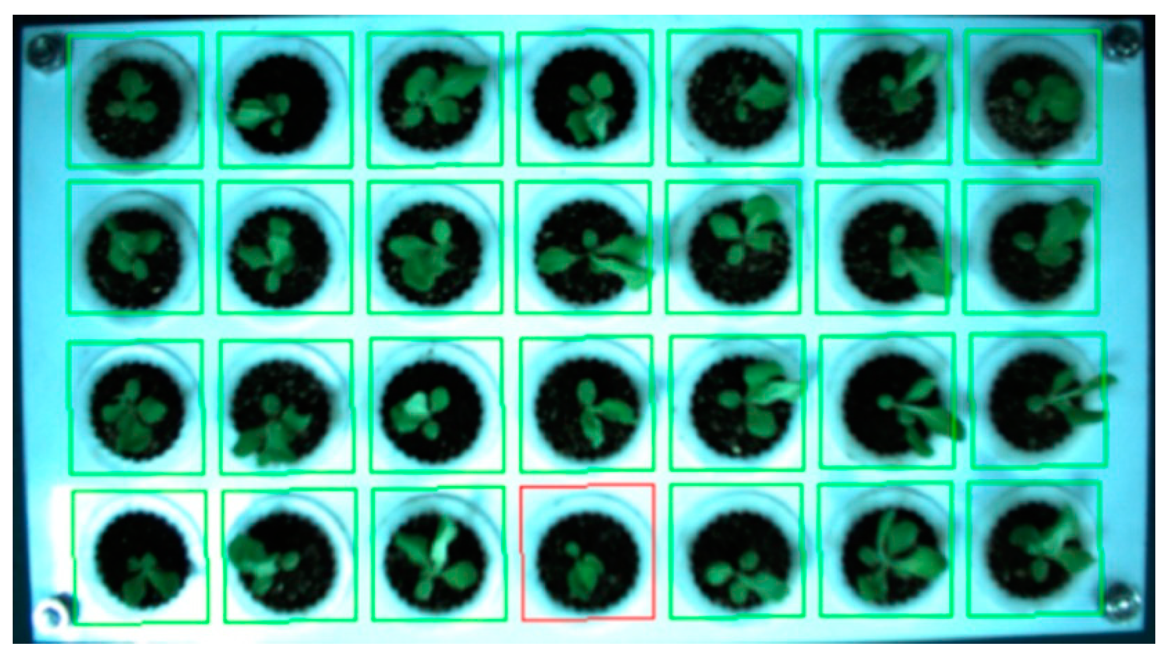 Agronomy 12 02899 g008