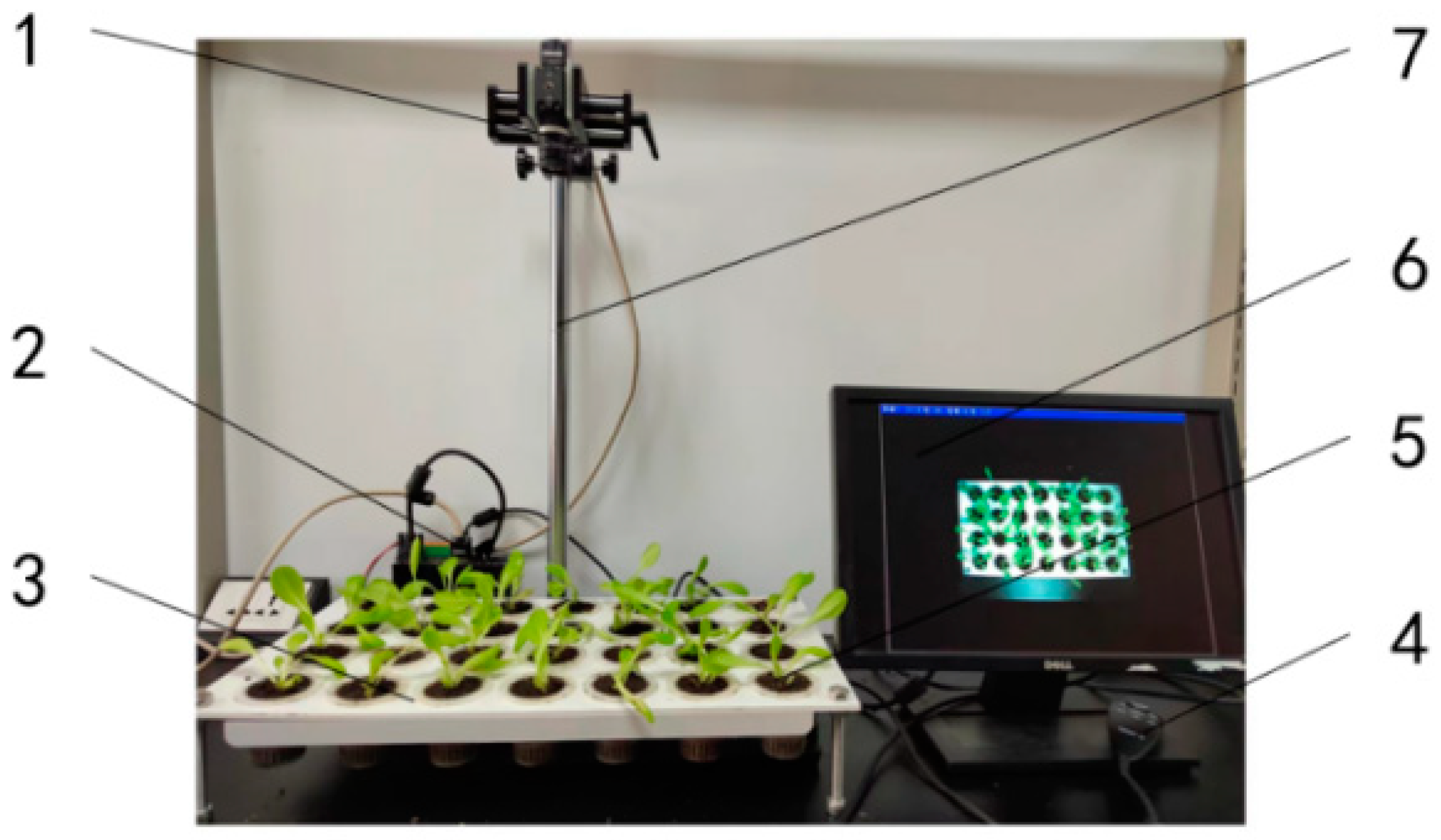 Agronomy 12 02899 g009