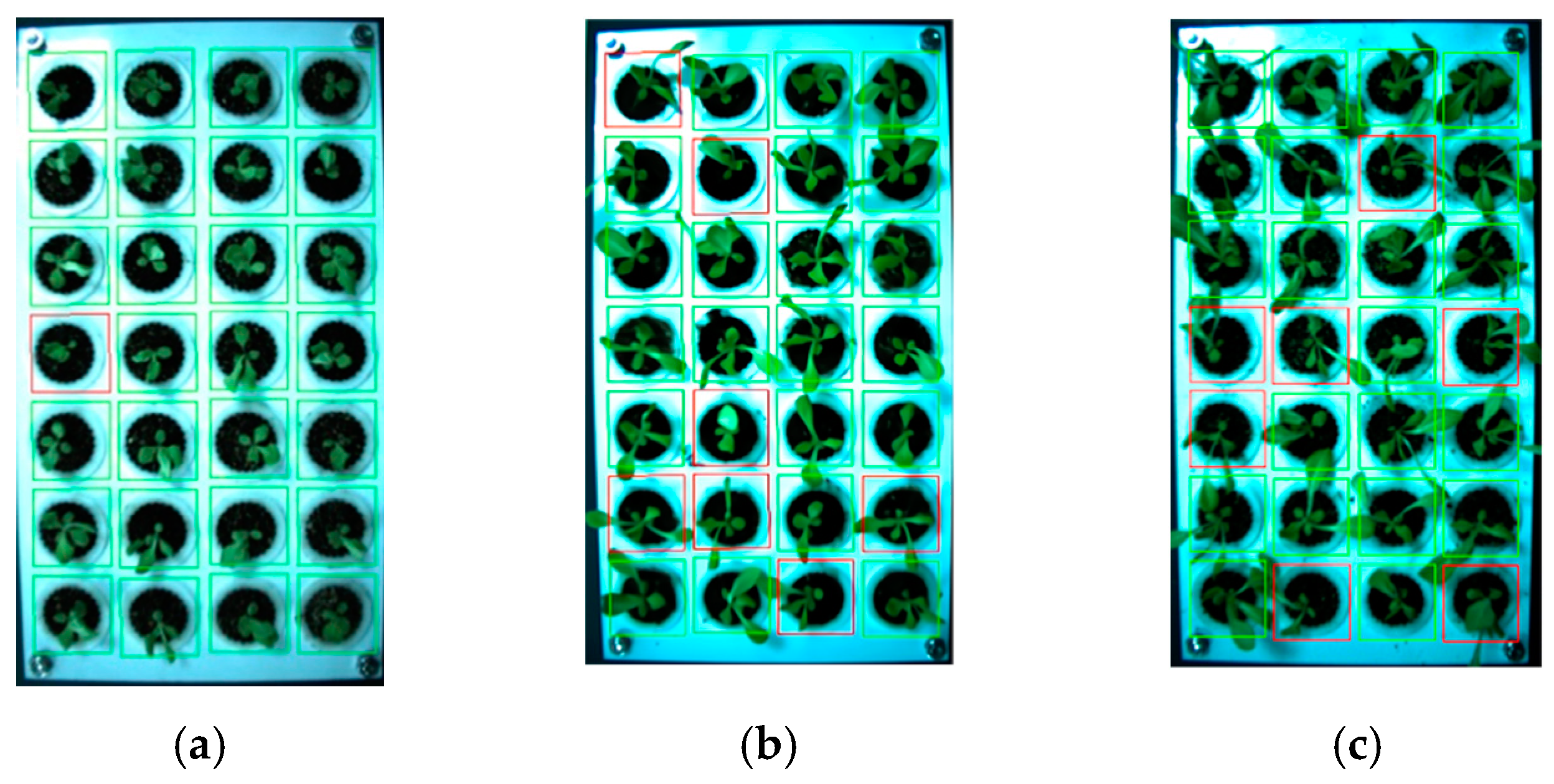 Agronomy 12 02899 g010