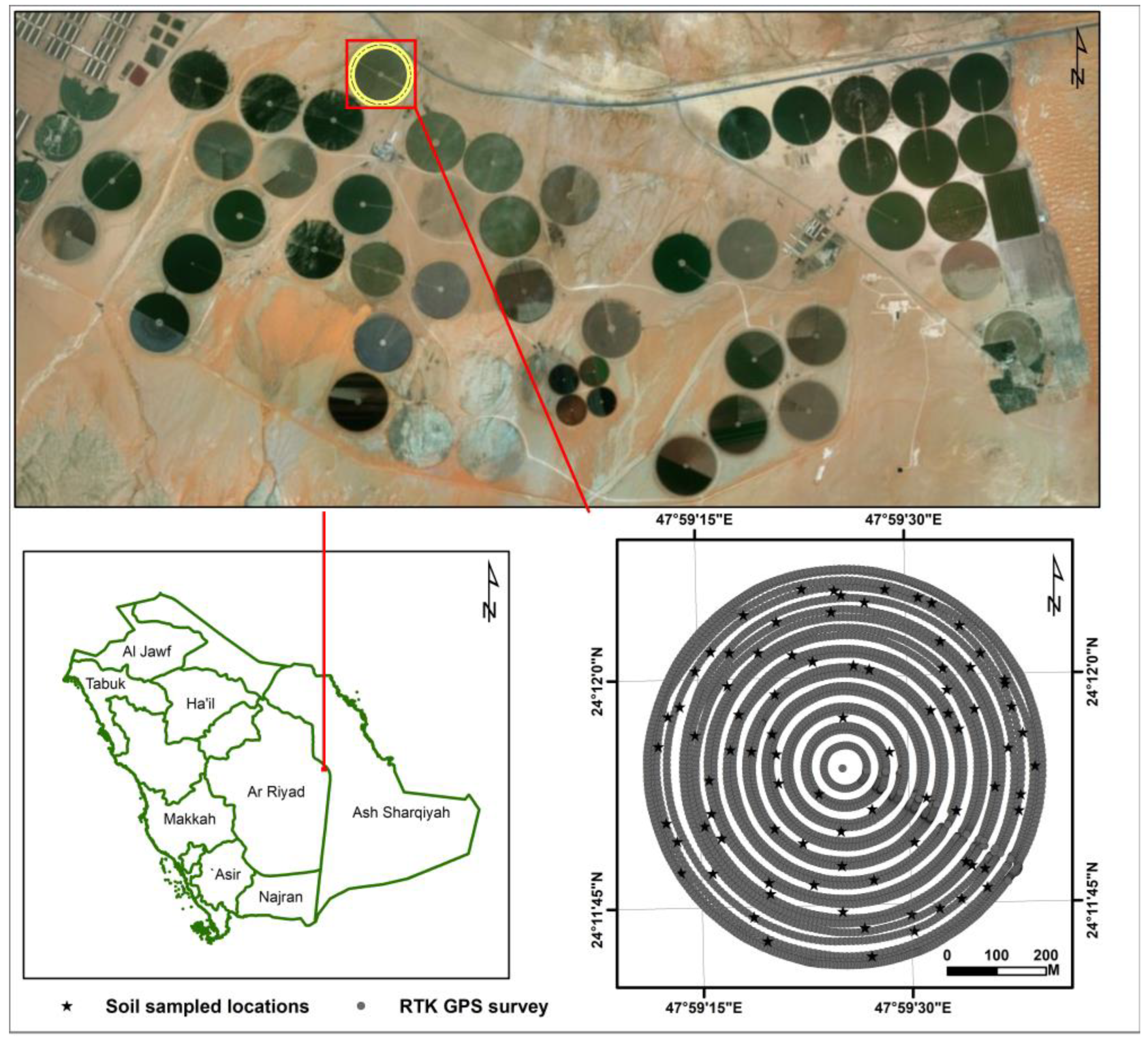 Agronomy 12 02918 g001