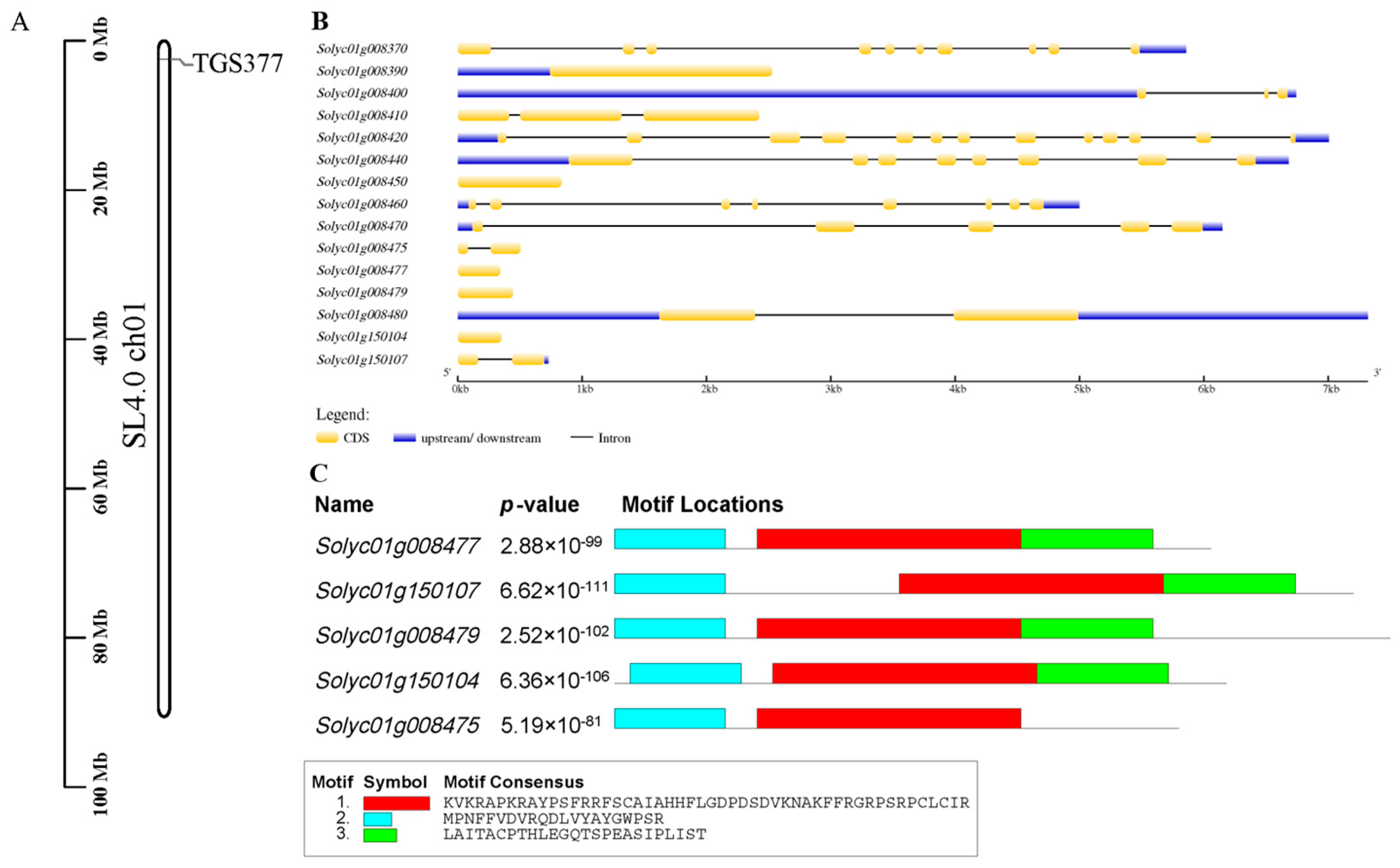Agronomy 12 02985 g002