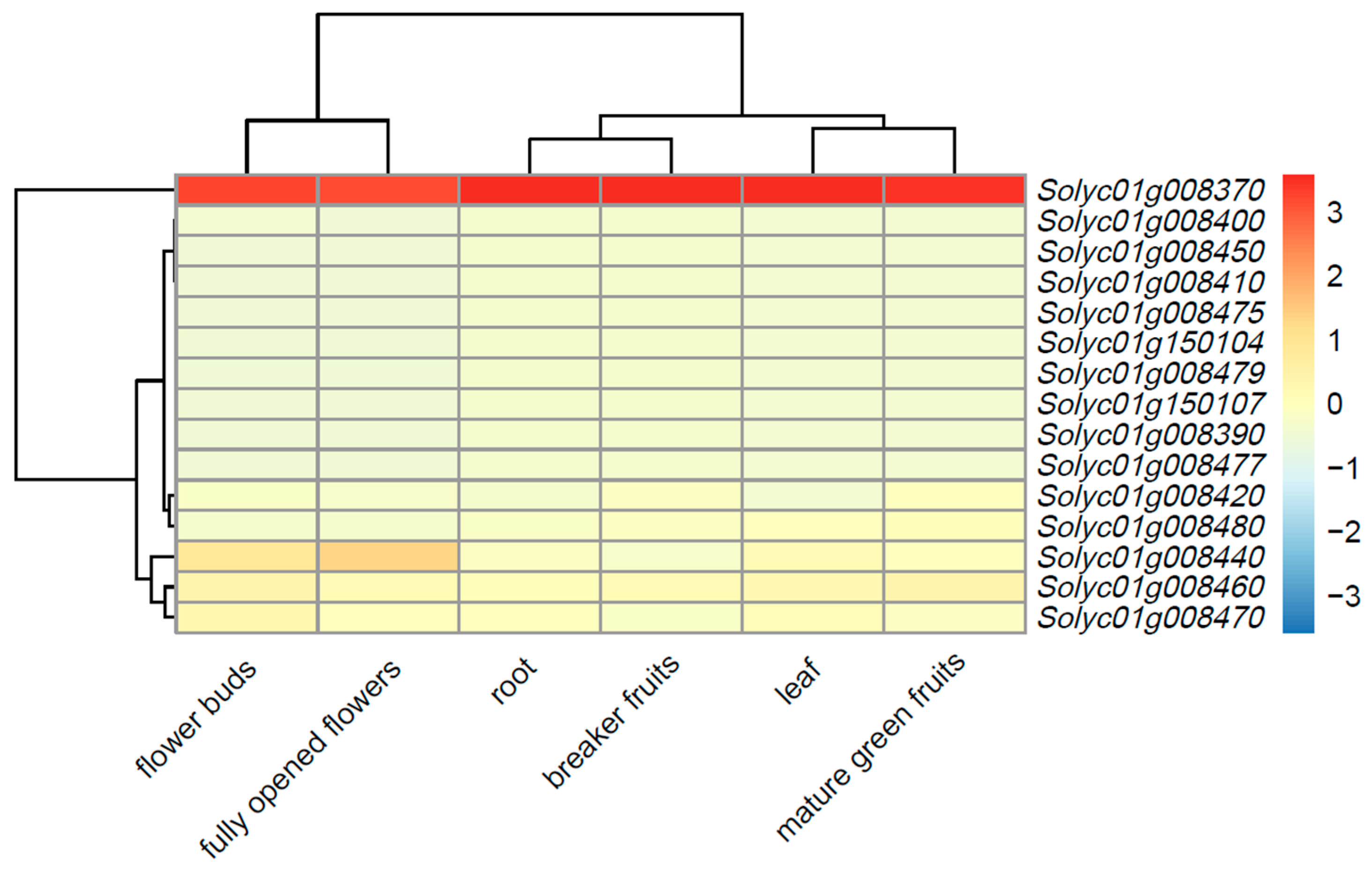 Agronomy 12 02985 g003